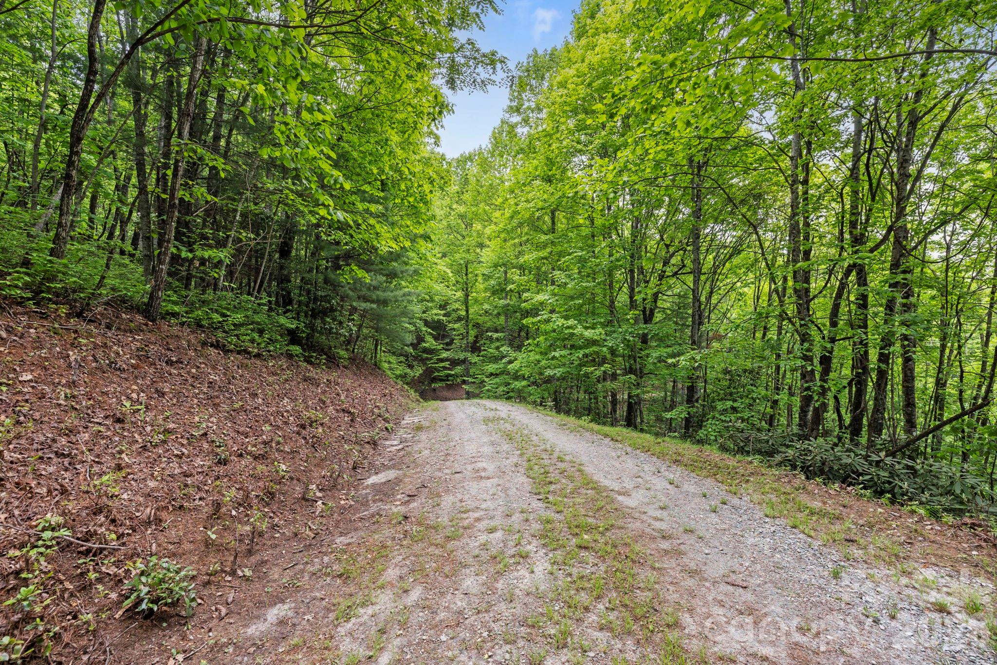 Acreage at 1325 Golden Road, Lake Toxaway, photo 14 of 15