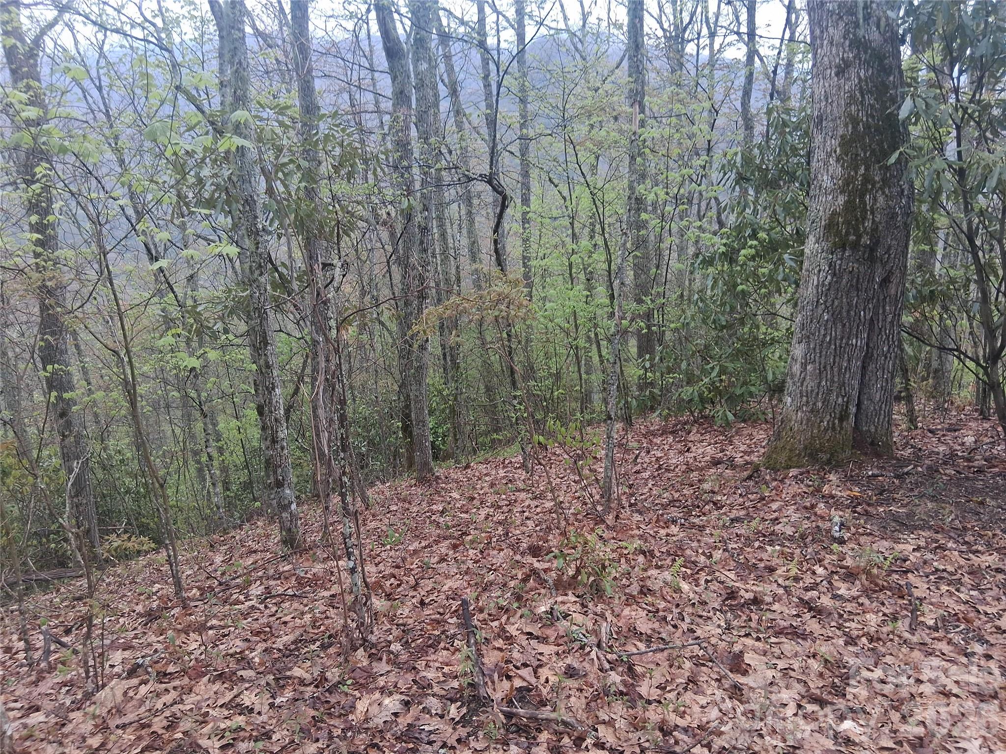 0000 Bear Creek Road