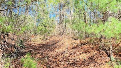 Semi-cleared driveway - 000 Jeter Mountain Road, Hendersonville