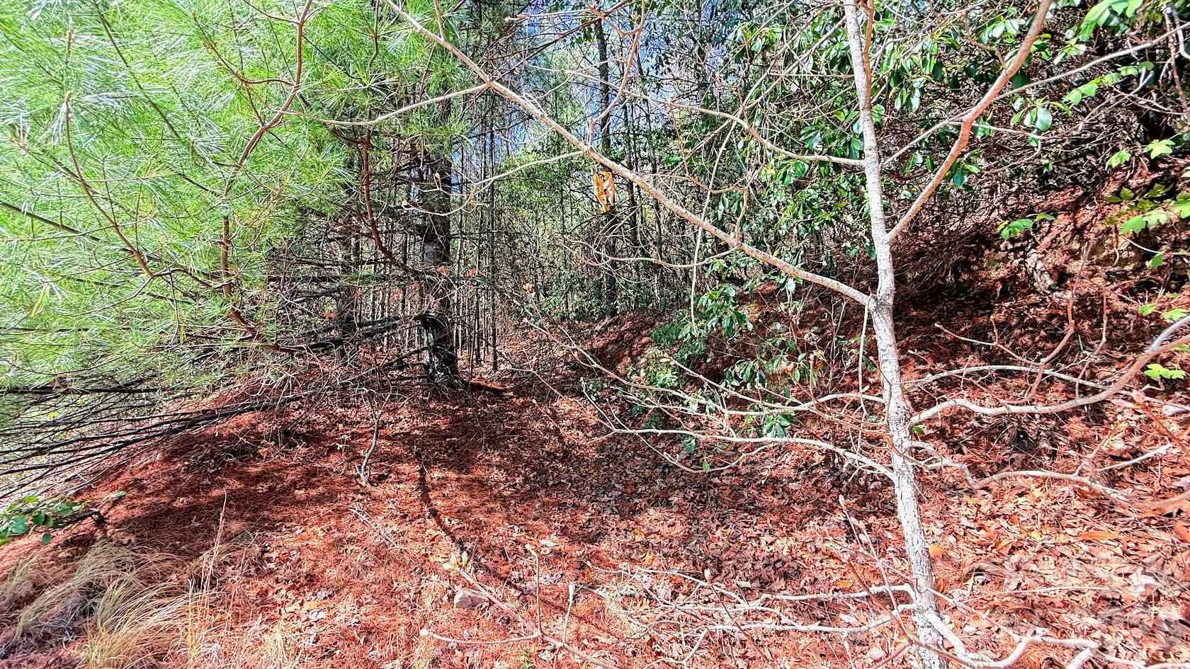 Lot at 000 Jeter Mountain Road, Hendersonville, photo 4 of 12