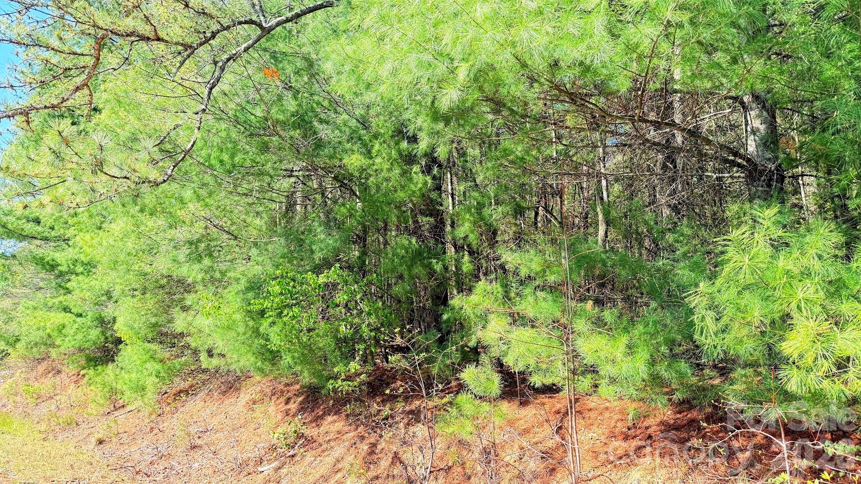 Lot at 000 Jeter Mountain Road, Hendersonville, photo 10 of 12