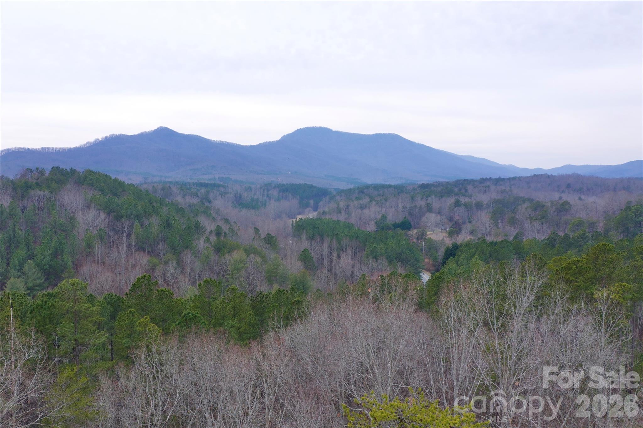 Acreage at 1140 Hwy 9 Highway, Mill Spring, photo 4 of 14