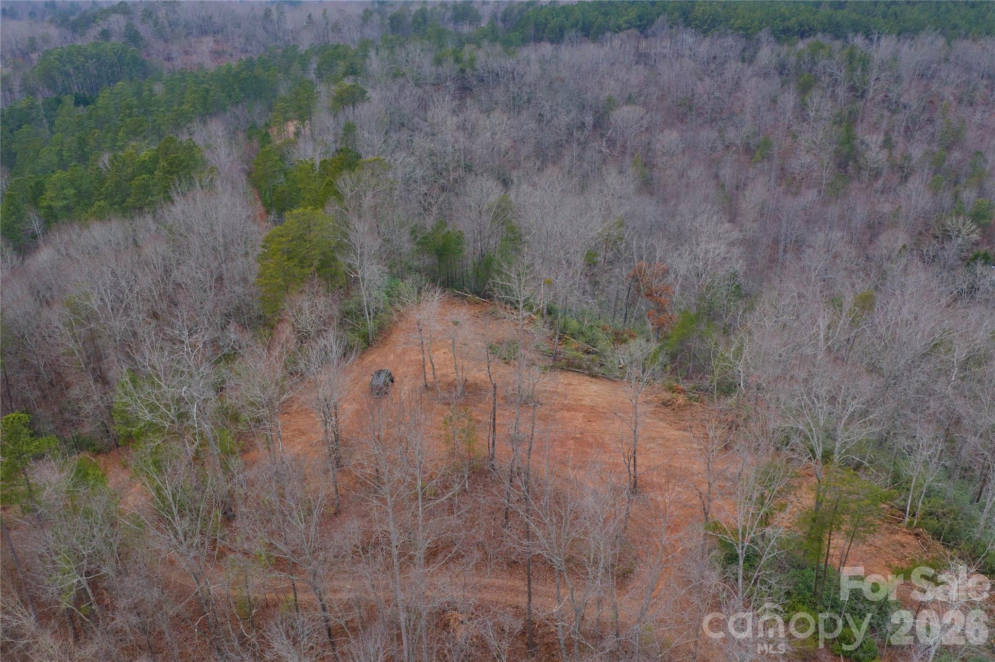 Acreage at 1140 Hwy 9 Highway, Mill Spring, photo 7 of 14