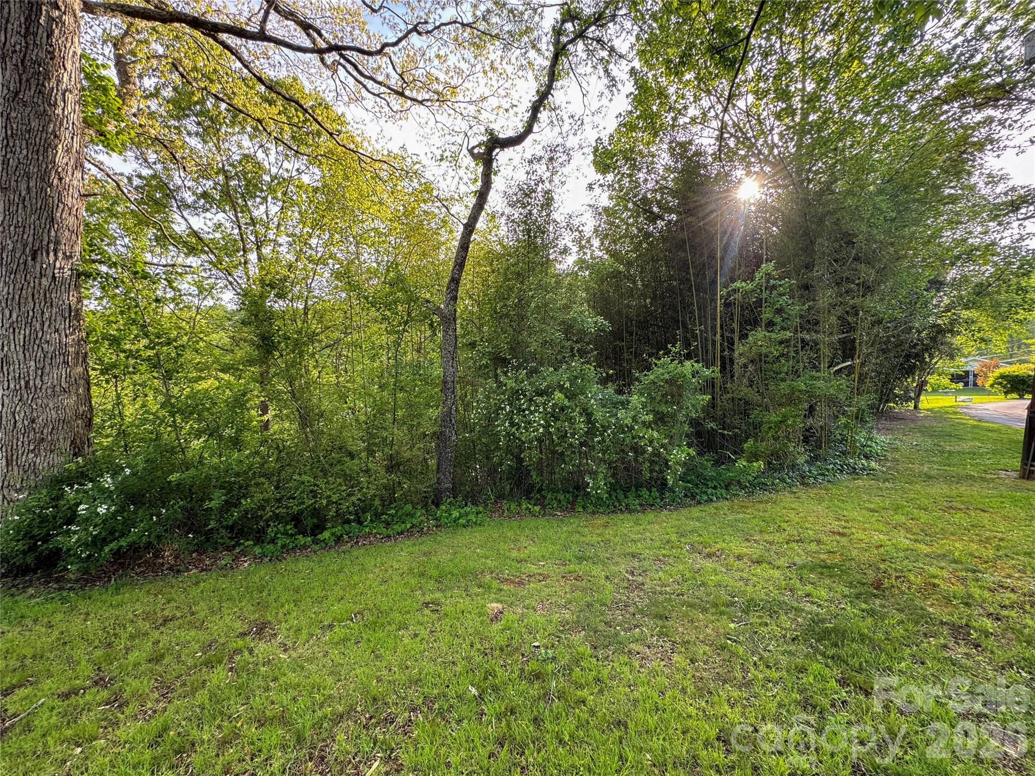 None at 70 Winchester Drive, Waynesville, photo 20 of 24