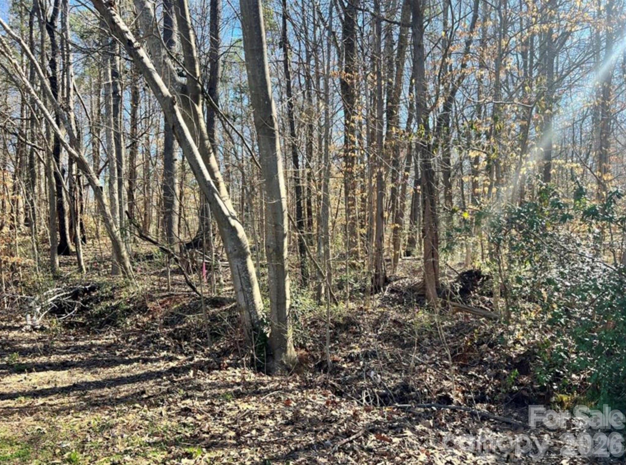 Lot at 02 Lurecliff Place, Fort Mill