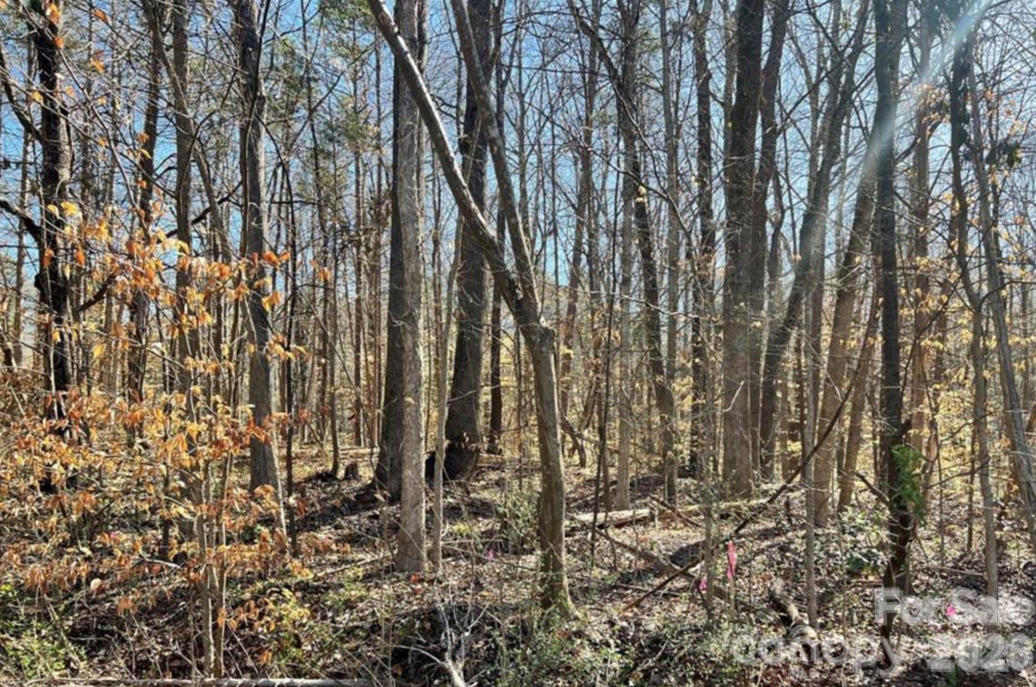 Lot at 02 Lurecliff Place, Fort Mill, photo 2 of 3