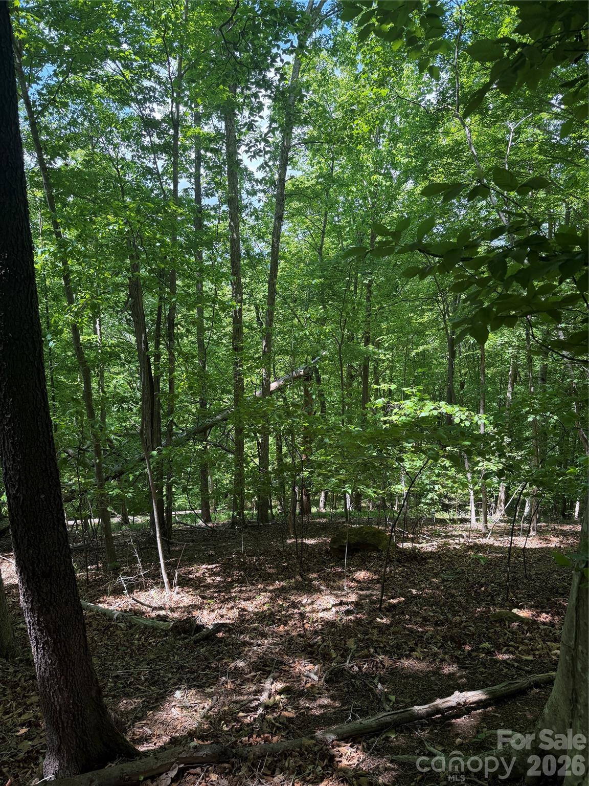 Lot at 0 Creekside Circle, Rutherfordton, photo 2 of 20