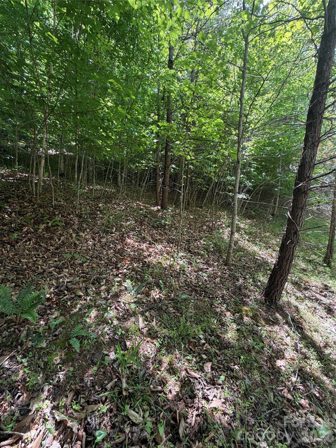 Lot at 0 Creekside Circle, Rutherfordton, photo 3 of 20