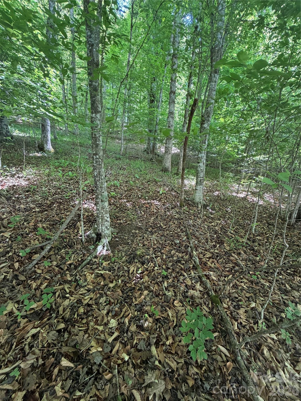 Lot at 0 Creekside Circle, Rutherfordton, photo 5 of 20