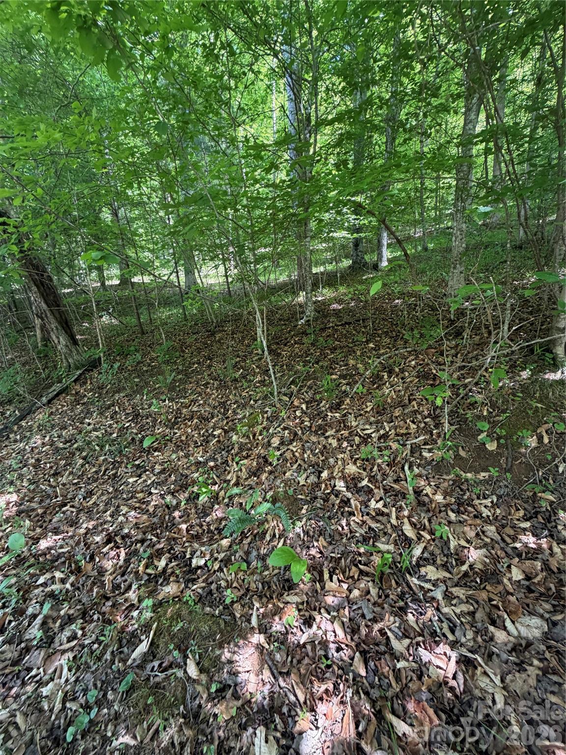 Lot at 0 Creekside Circle, Rutherfordton, photo 7 of 20
