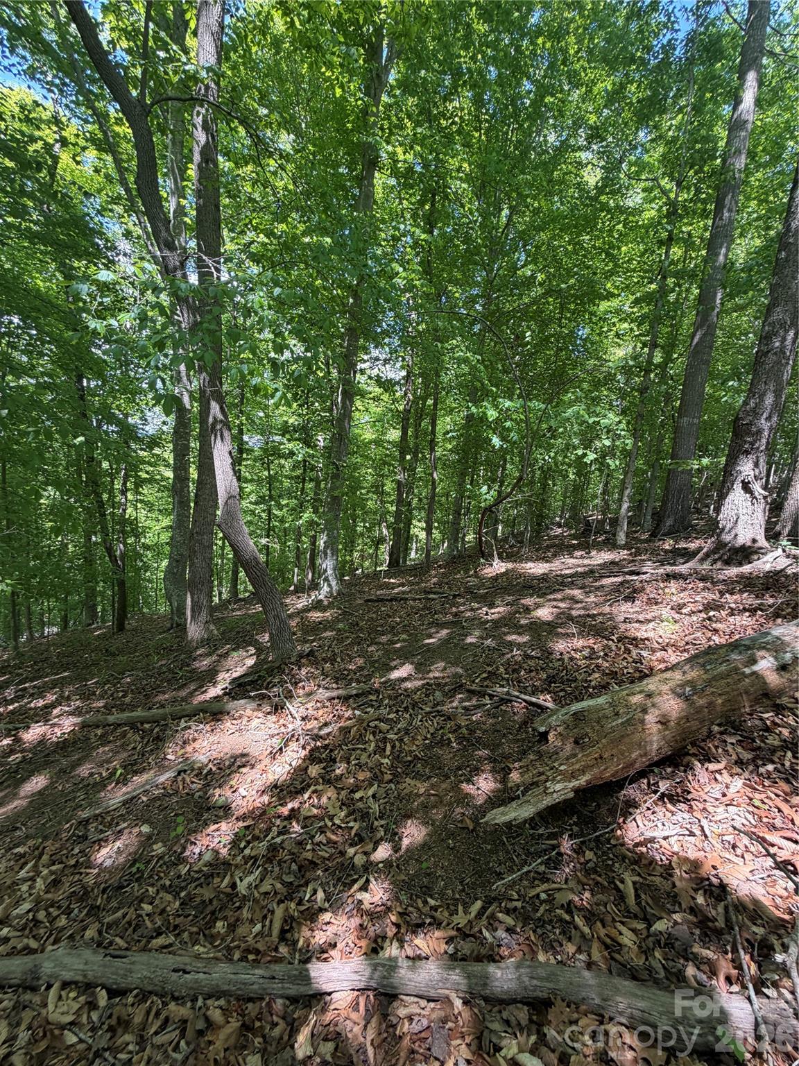 Lot at 0 Creekside Circle, Rutherfordton, photo 8 of 20