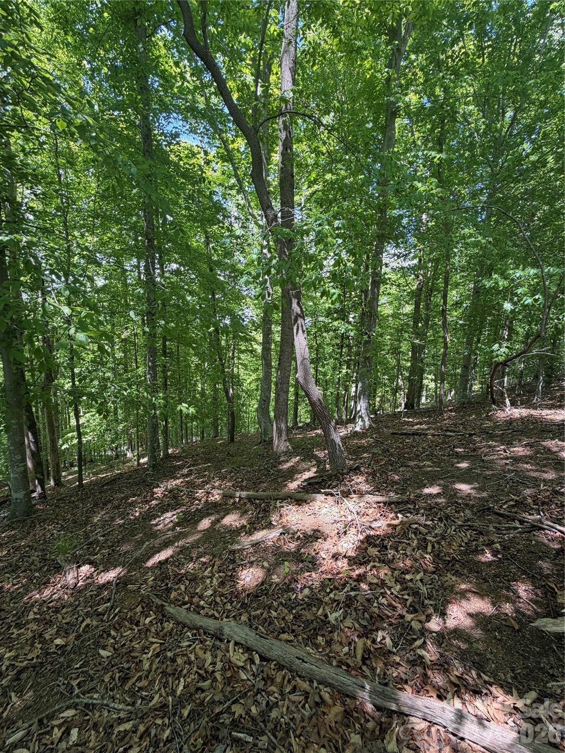 Lot at 0 Creekside Circle, Rutherfordton, photo 9 of 20