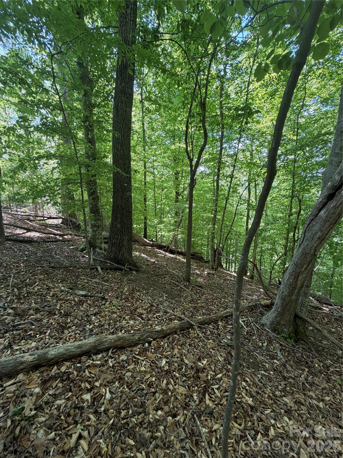 Lot at 0 Creekside Circle, Rutherfordton, photo 11 of 20