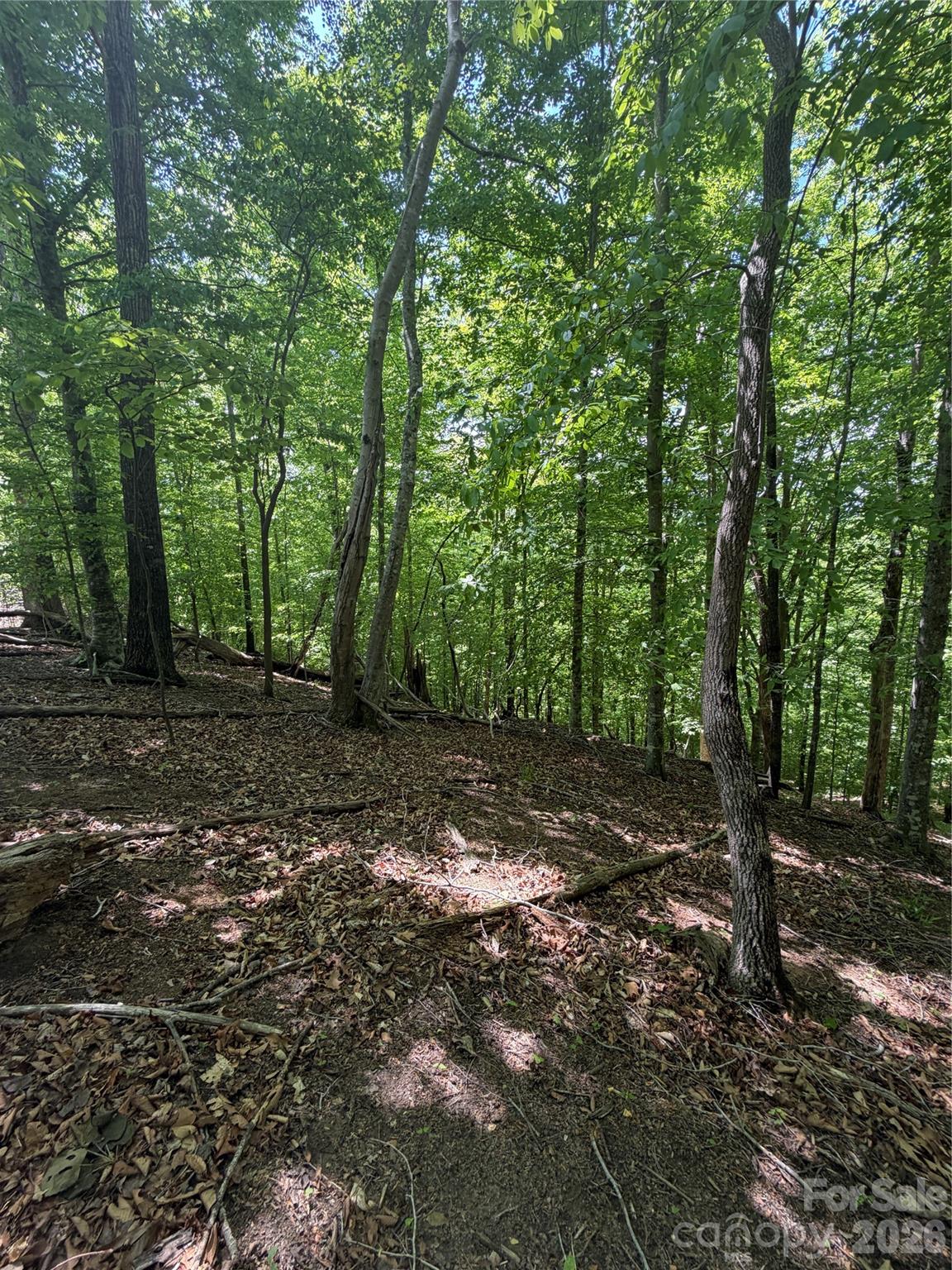 Lot at 0 Creekside Circle, Rutherfordton, photo 12 of 20
