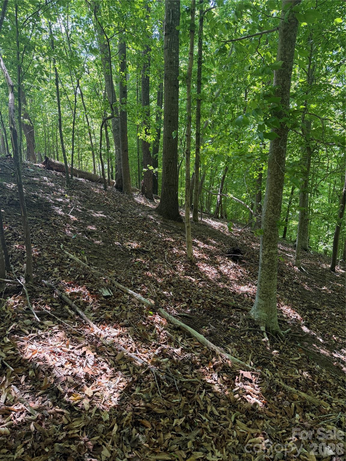 Lot at 0 Creekside Circle, Rutherfordton, photo 15 of 20