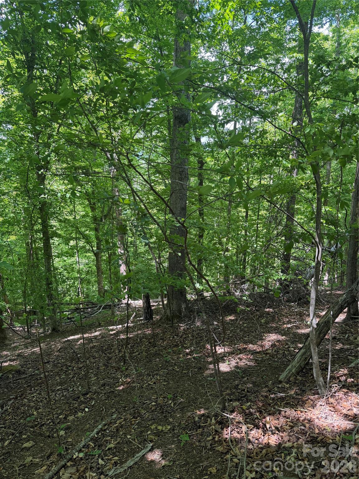 Lot at 0 Creekside Circle, Rutherfordton, photo 16 of 20