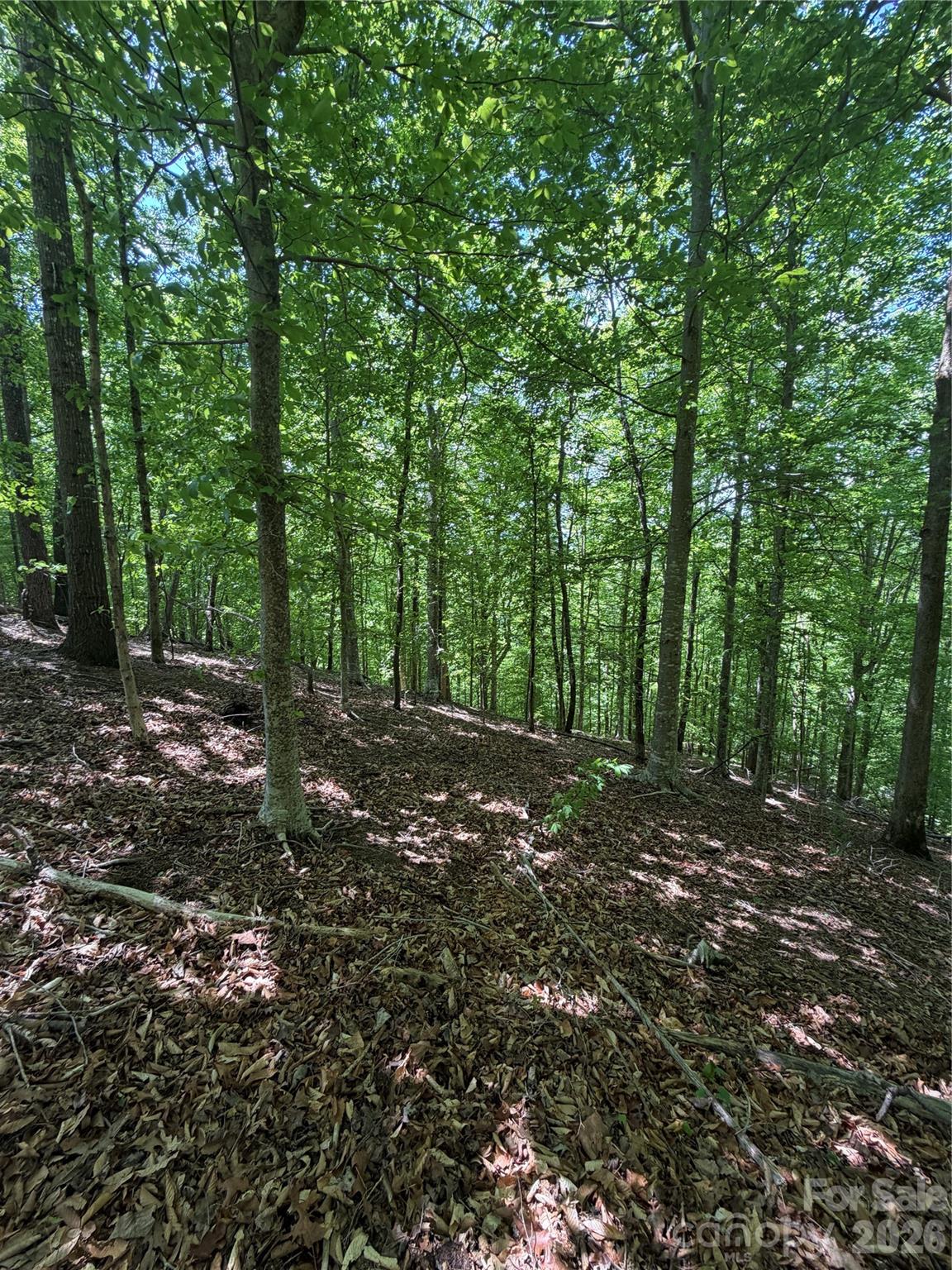 Lot at 0 Creekside Circle, Rutherfordton, photo 17 of 20