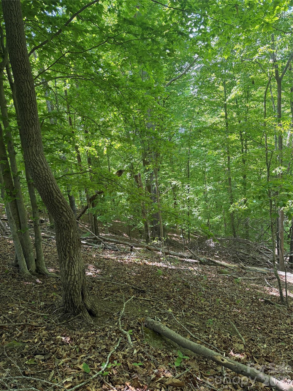 Lot at 0 Creekside Circle, Rutherfordton, photo 18 of 20
