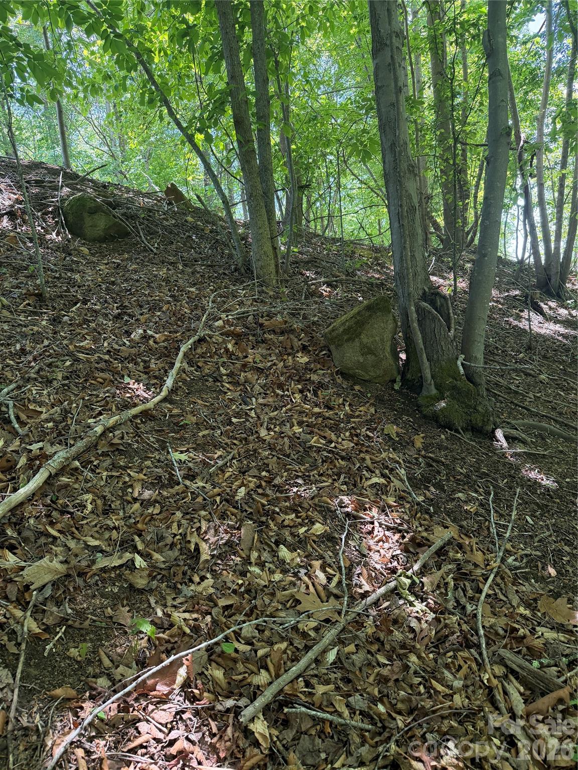 Lot at 0 Creekside Circle, Rutherfordton, photo 19 of 20