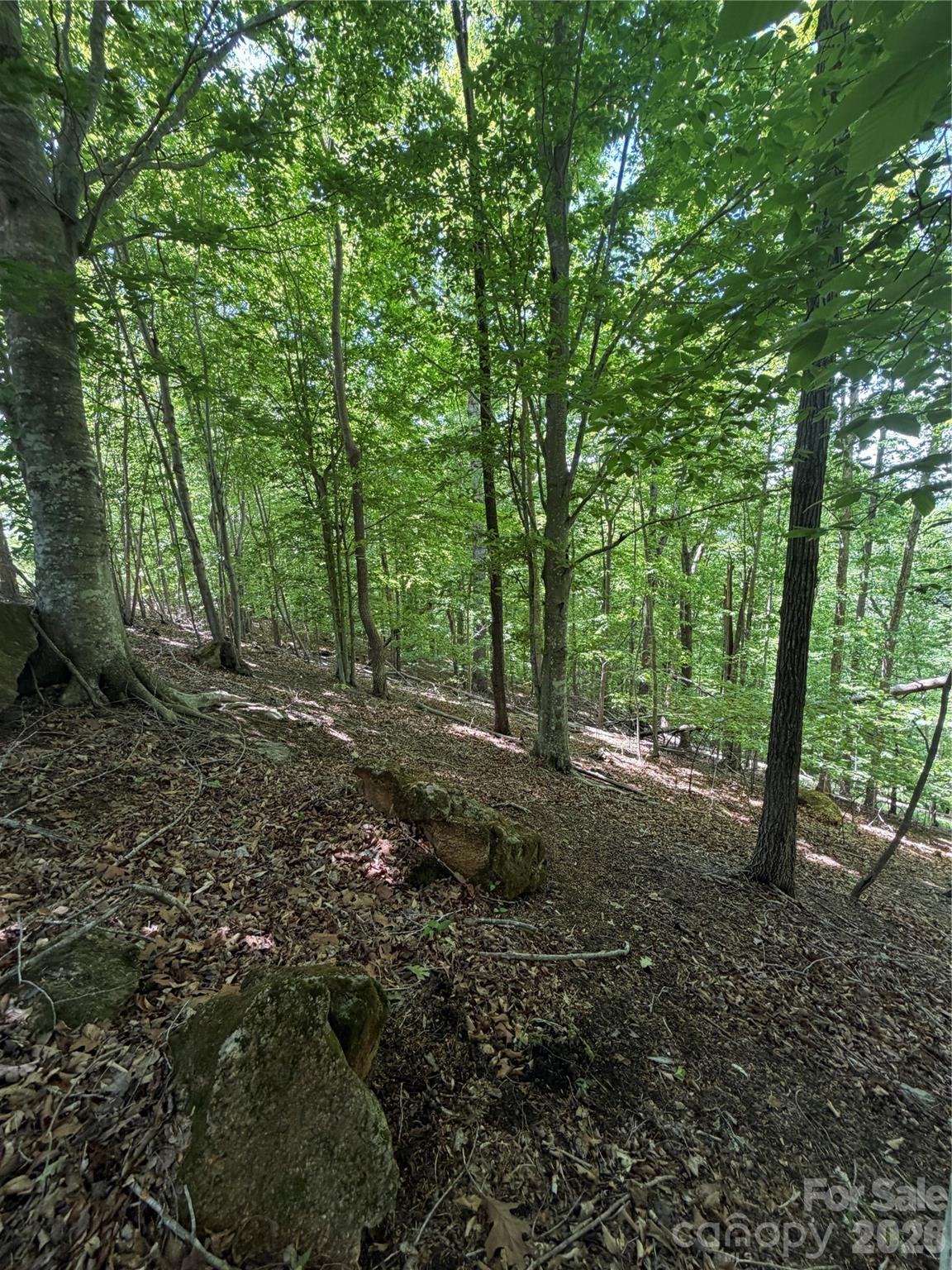 Lot at 0 Creekside Circle, Rutherfordton, photo 20 of 20