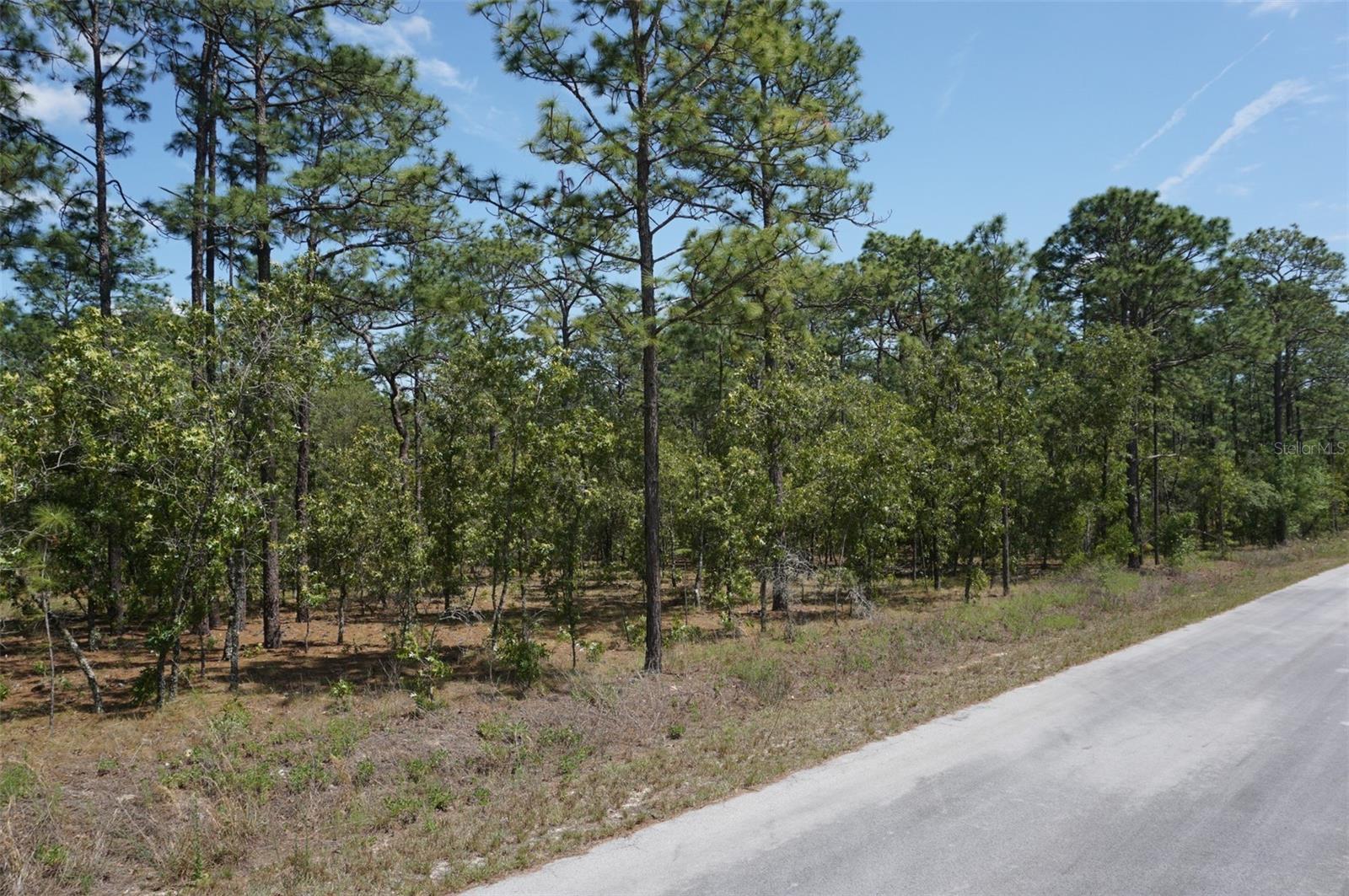 TBD NW TREE TOP RD