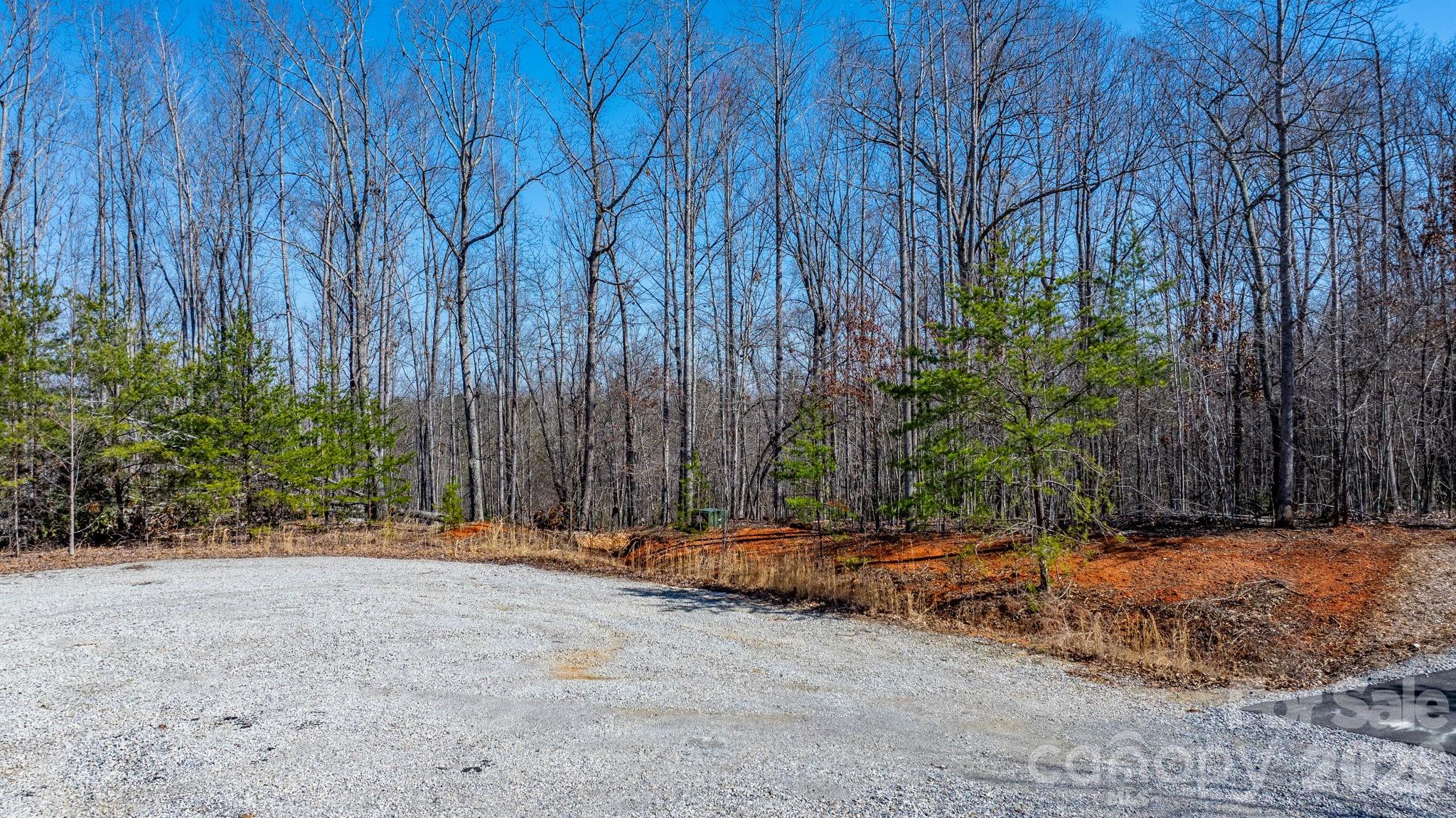 Lot at TBD Dirksen Avenue, Nebo, photo 21 of 23