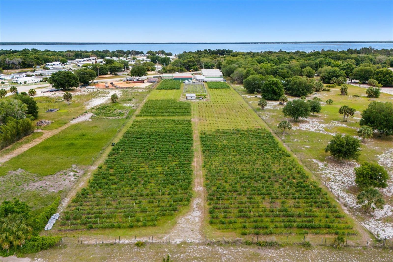Land at 3510 WALK IN WATER RD, LAKE WALES, photo 8 of 37