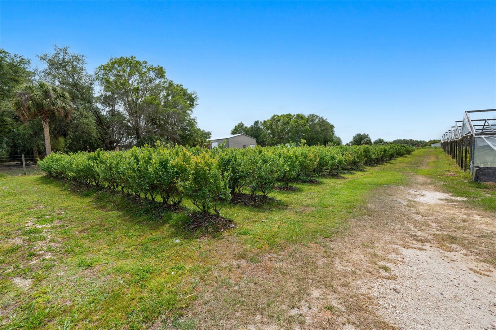 Land at 3510 WALK IN WATER RD, LAKE WALES, photo 15 of 37