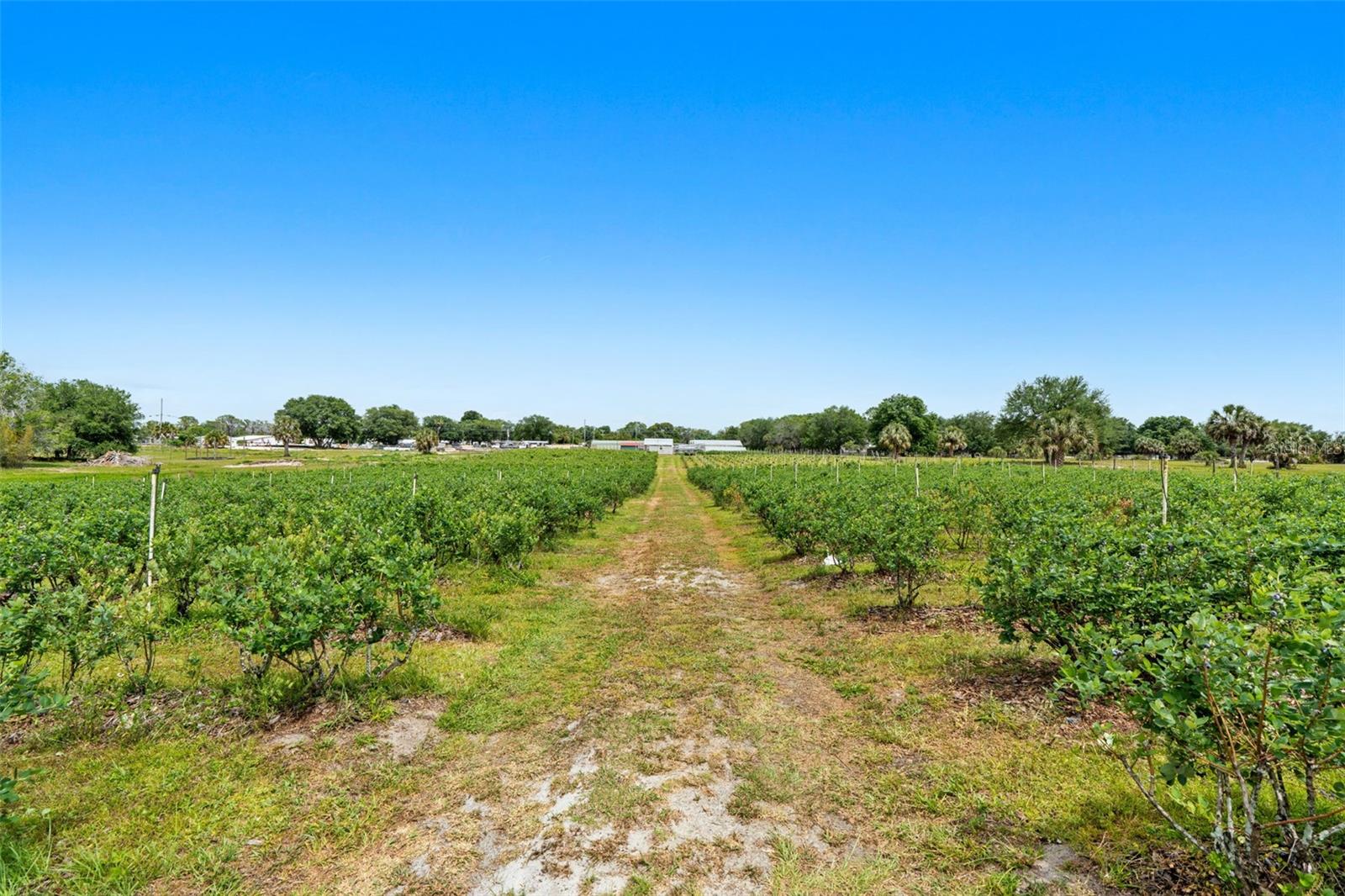 Land at 3510 WALK IN WATER RD, LAKE WALES, photo 18 of 37