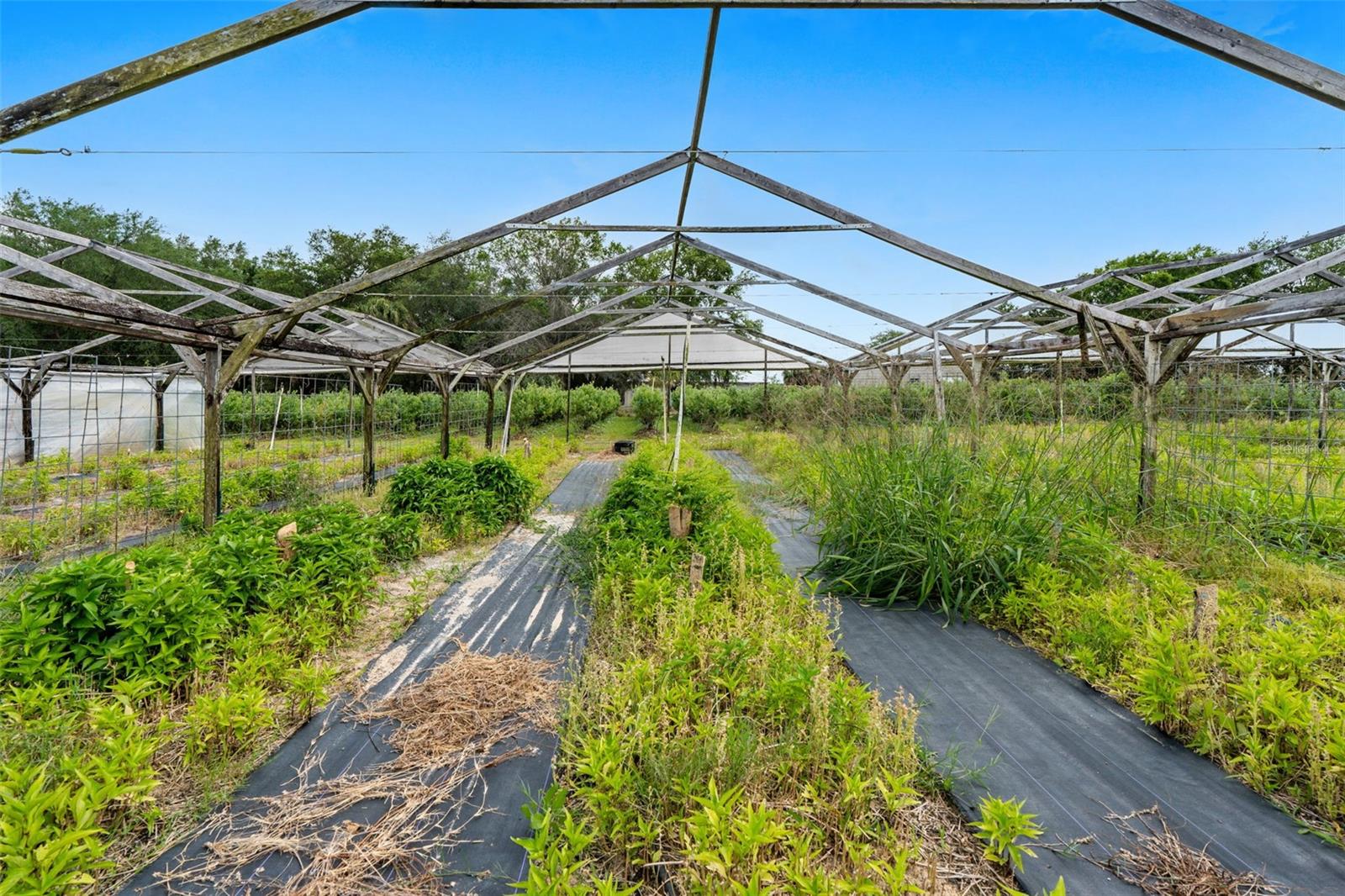 Land at 3510 WALK IN WATER RD, LAKE WALES, photo 21 of 37
