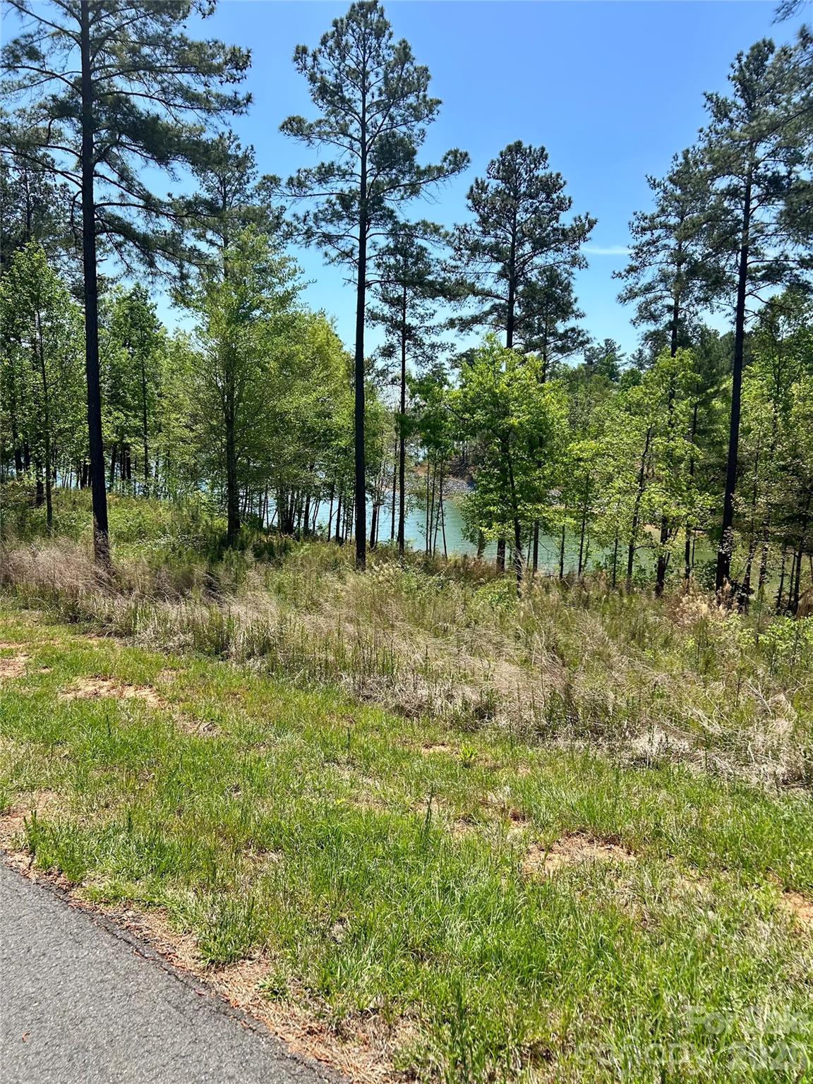 Lot at 2960 Jumping Run, Connelly Springs, photo 10 of 12