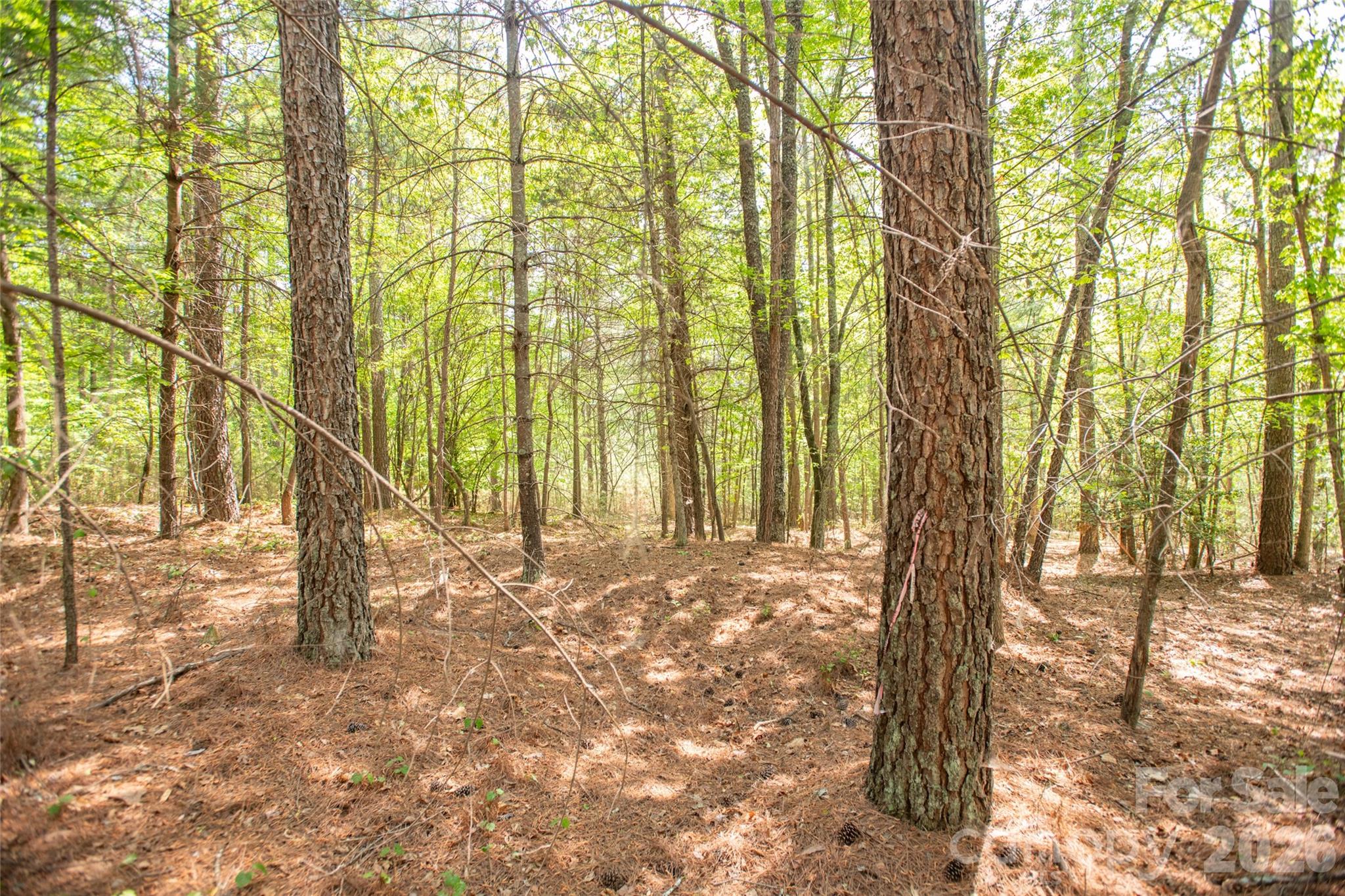 Acreage at 1518 W Paradise Harbor Drive, Connelly Springs, photo 8 of 26