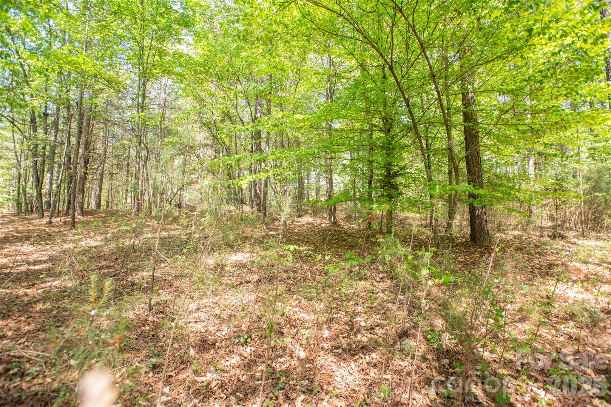 Acreage at 1518 W Paradise Harbor Drive, Connelly Springs, photo 9 of 26