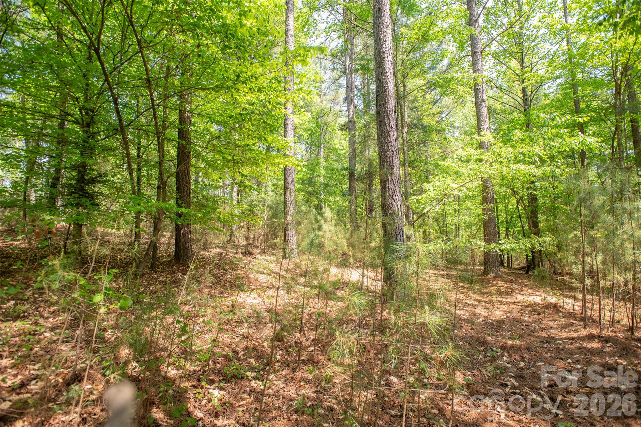 Acreage at 1518 W Paradise Harbor Drive, Connelly Springs, photo 11 of 26