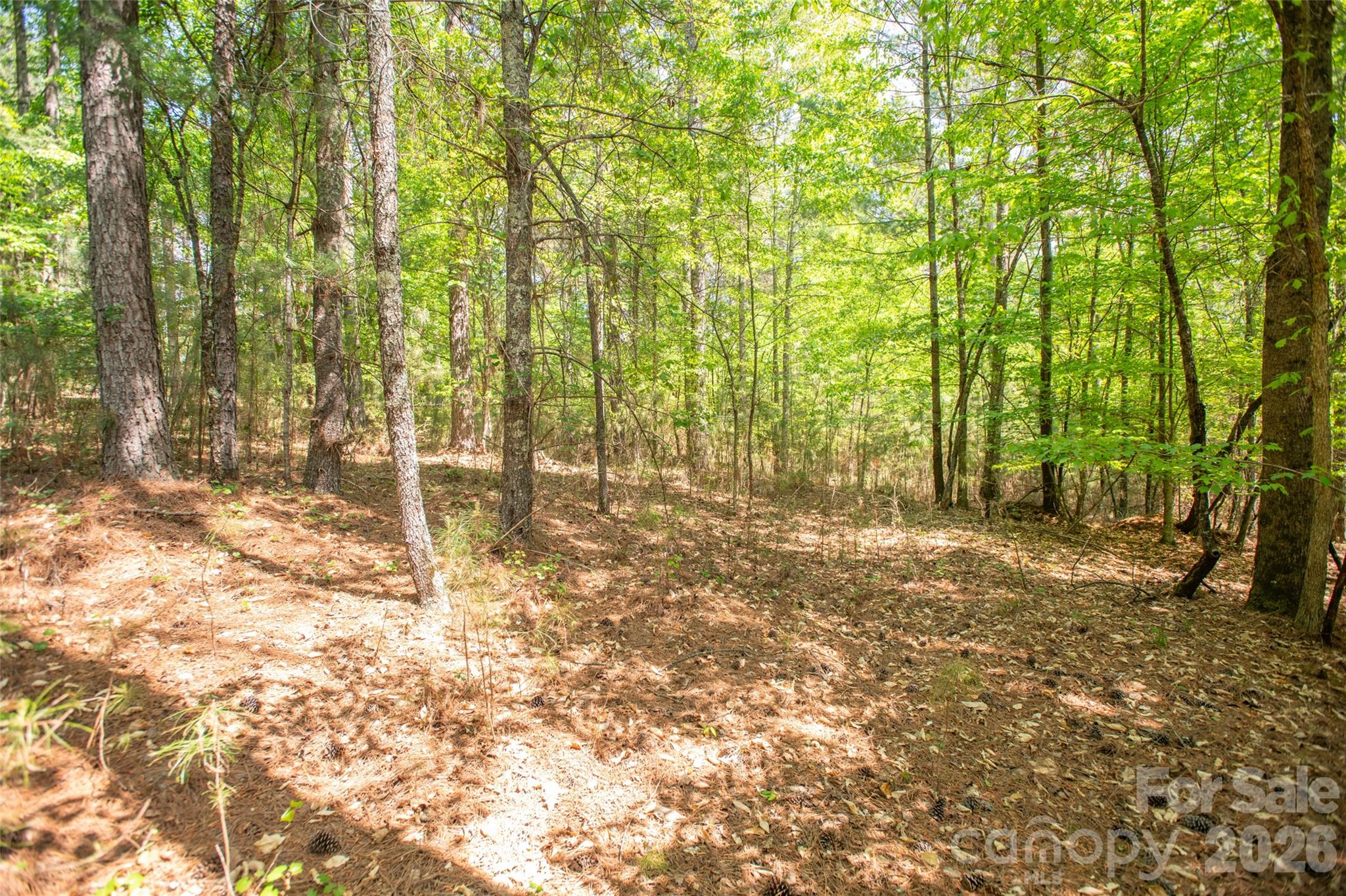 Acreage at 1518 W Paradise Harbor Drive, Connelly Springs, photo 12 of 26