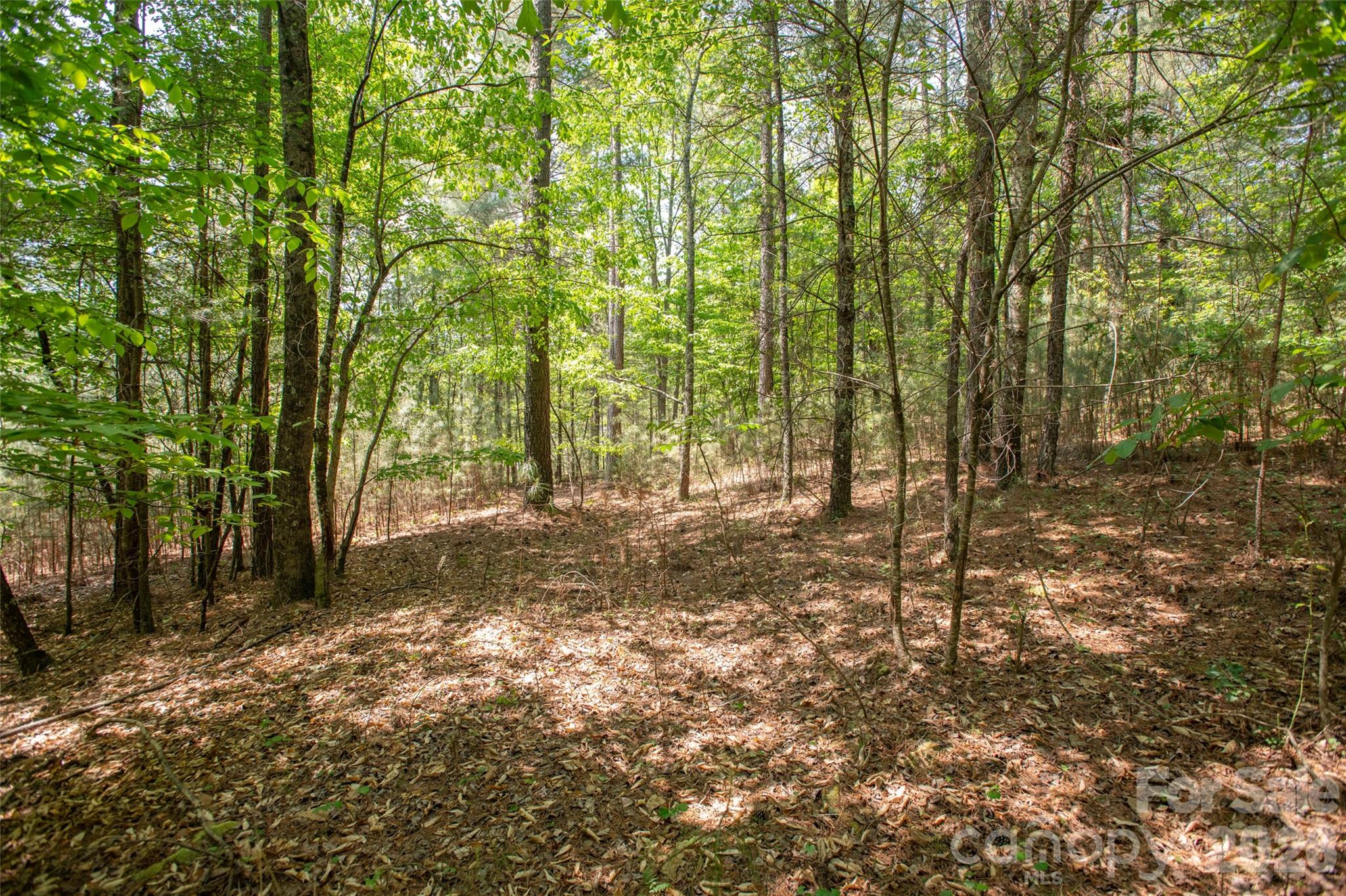 Acreage at 1518 W Paradise Harbor Drive, Connelly Springs, photo 13 of 26