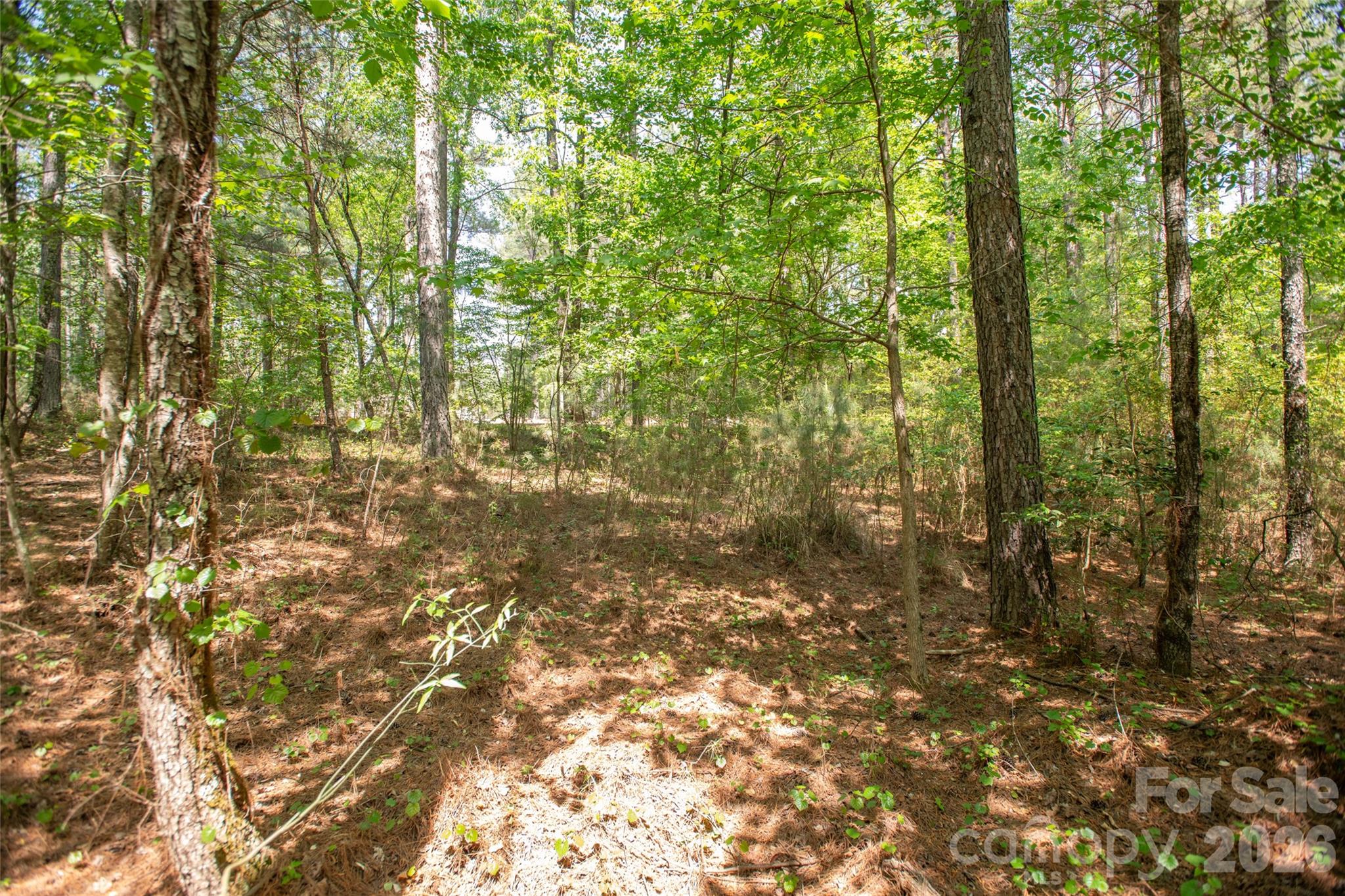 Acreage at 1518 W Paradise Harbor Drive, Connelly Springs, photo 19 of 26