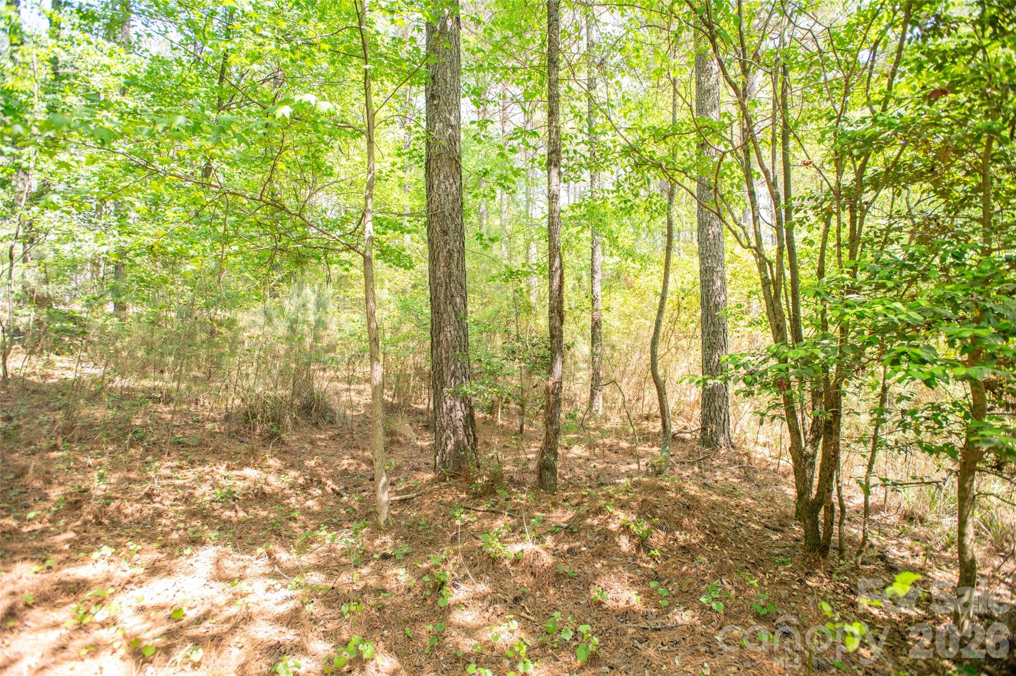 Acreage at 1518 W Paradise Harbor Drive, Connelly Springs, photo 20 of 26