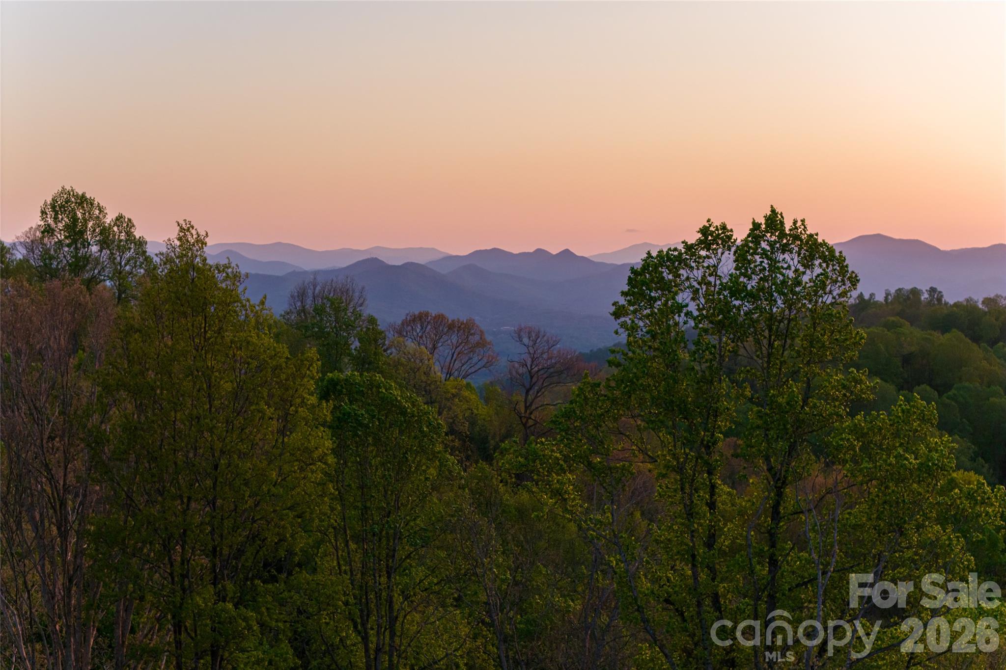 Acreage at 99999 Elk Mountain Scenic Highway, Asheville, photo 4 of 48