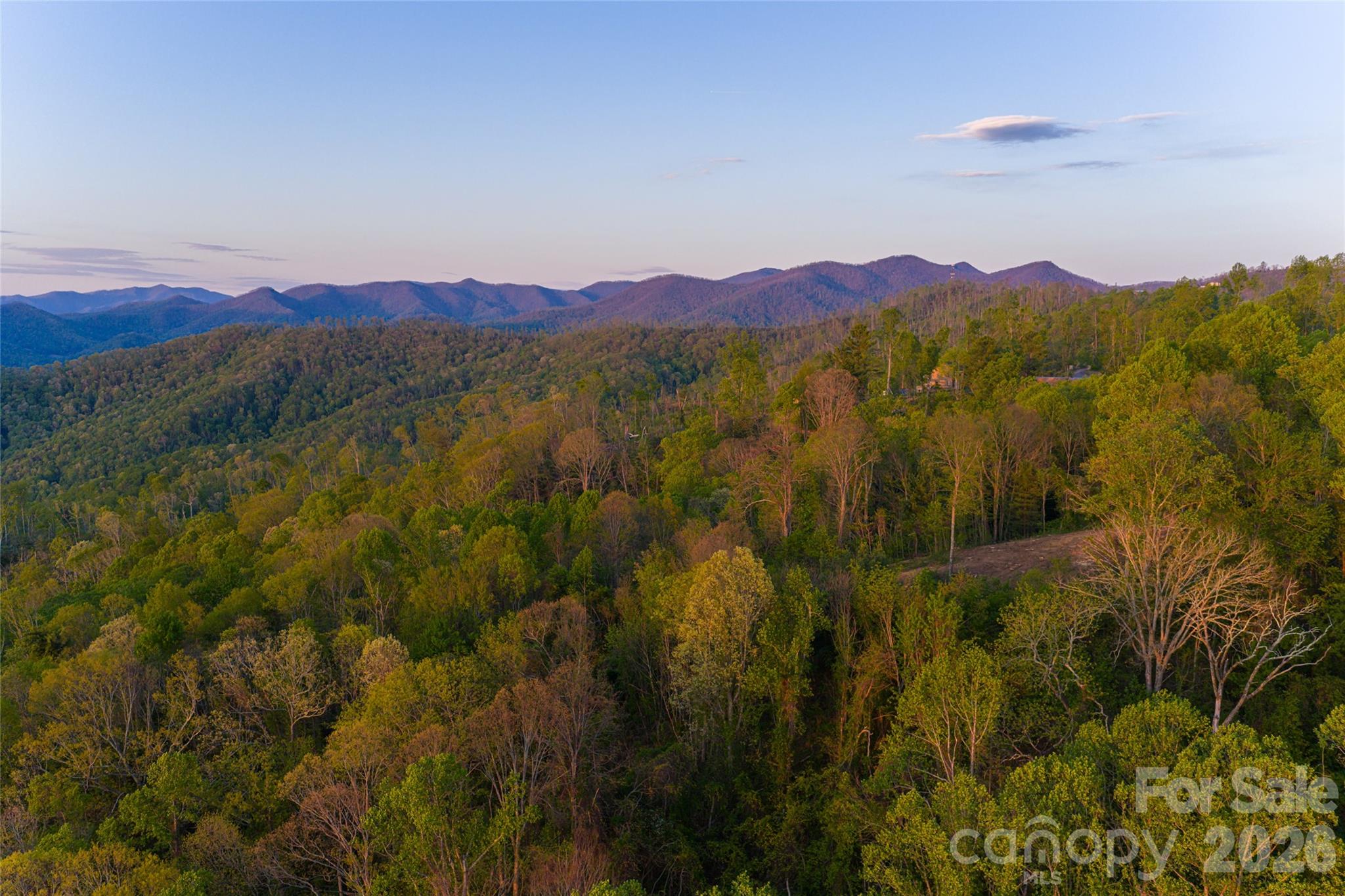 Acreage at 99999 Elk Mountain Scenic Highway, Asheville, photo 7 of 48