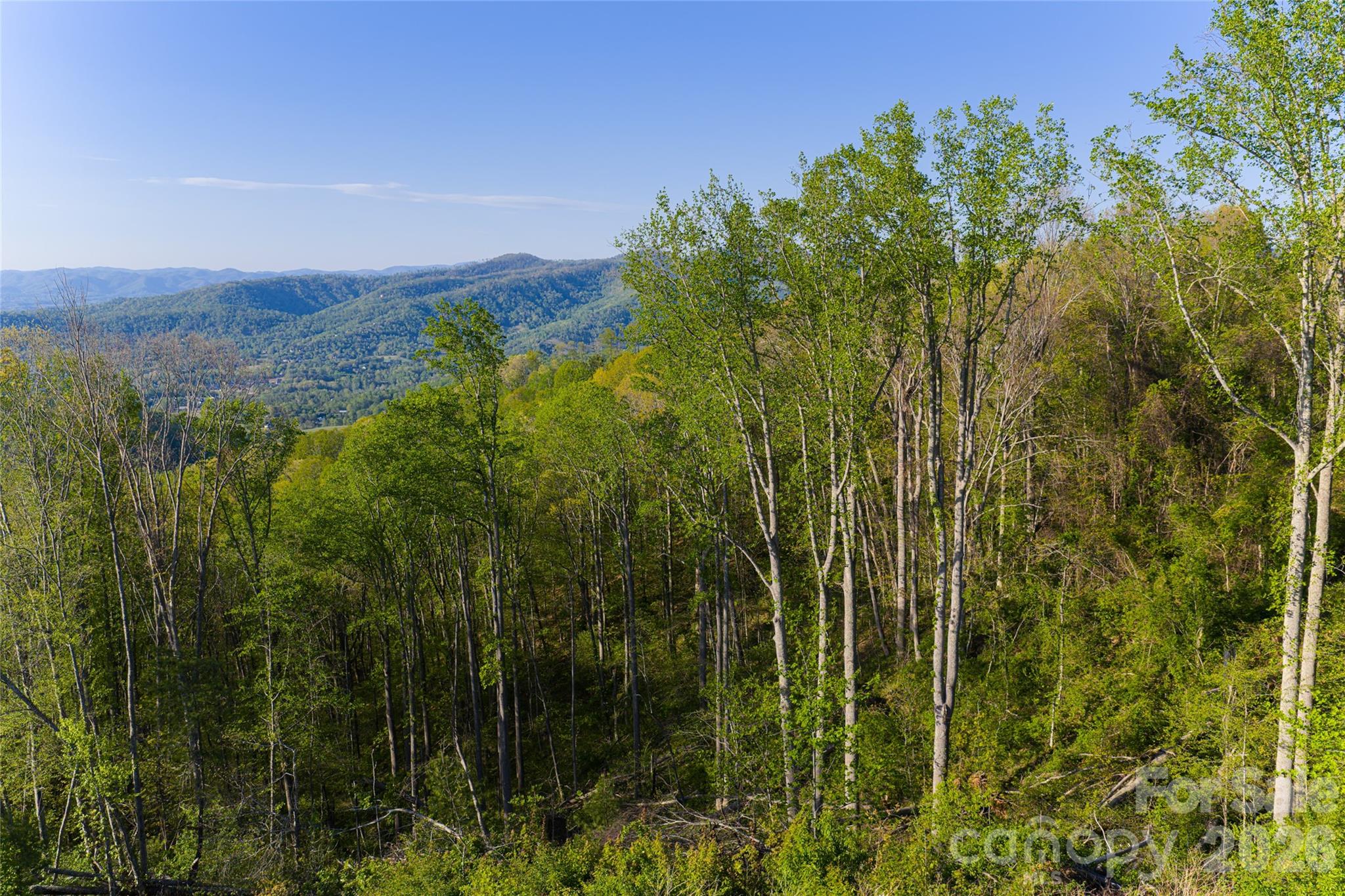 Acreage at 99999 Elk Mountain Scenic Highway, Asheville, photo 22 of 48