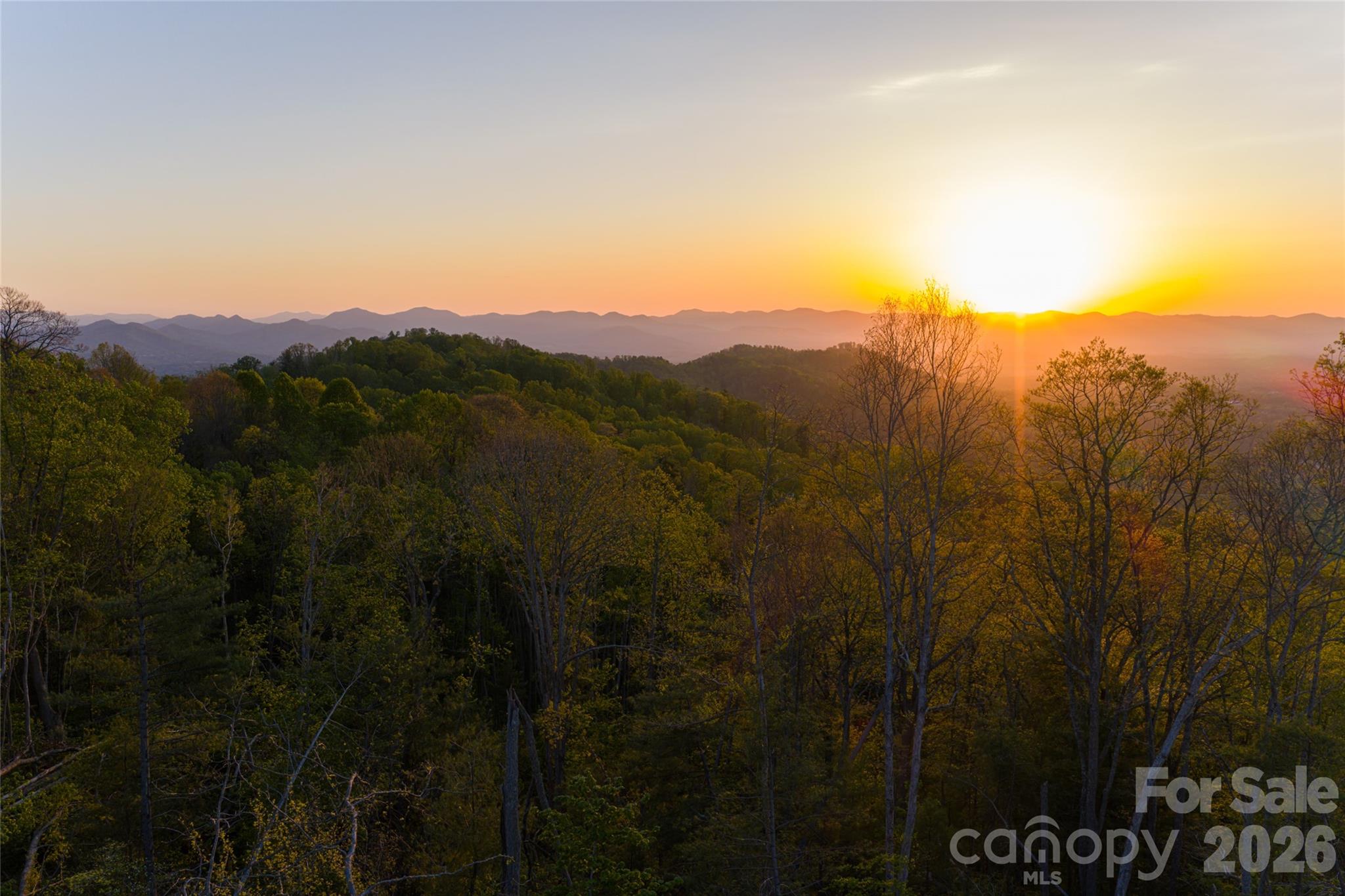 Acreage at 99999 Elk Mountain Scenic Highway, Asheville, photo 25 of 48
