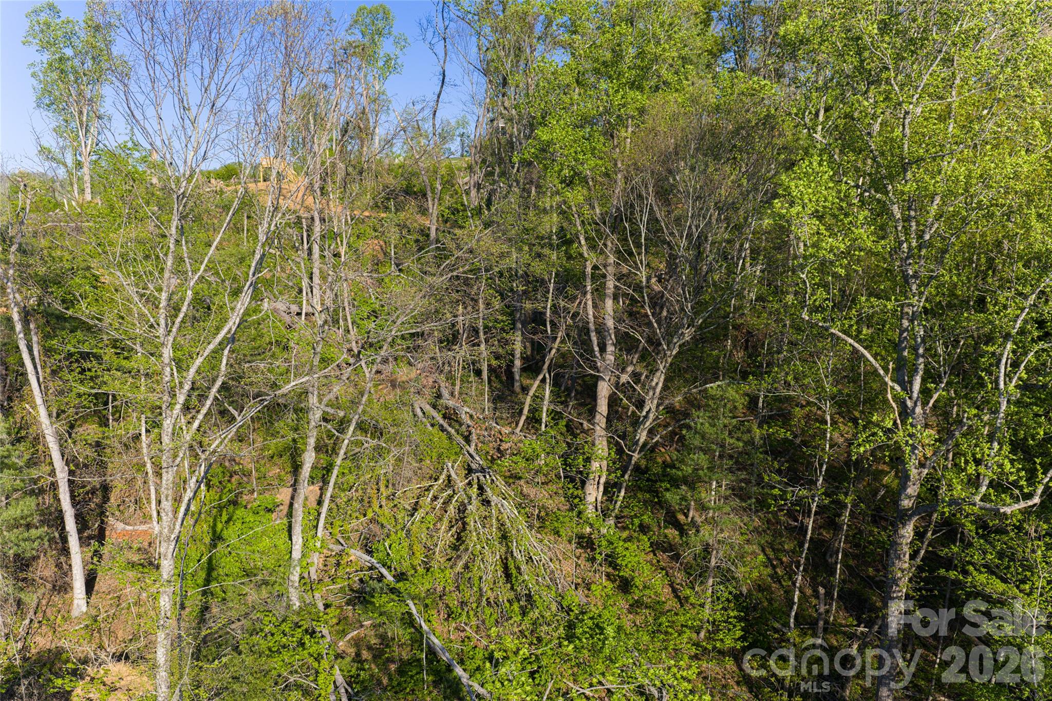 Acreage at 99999 Elk Mountain Scenic Highway, Asheville, photo 27 of 48