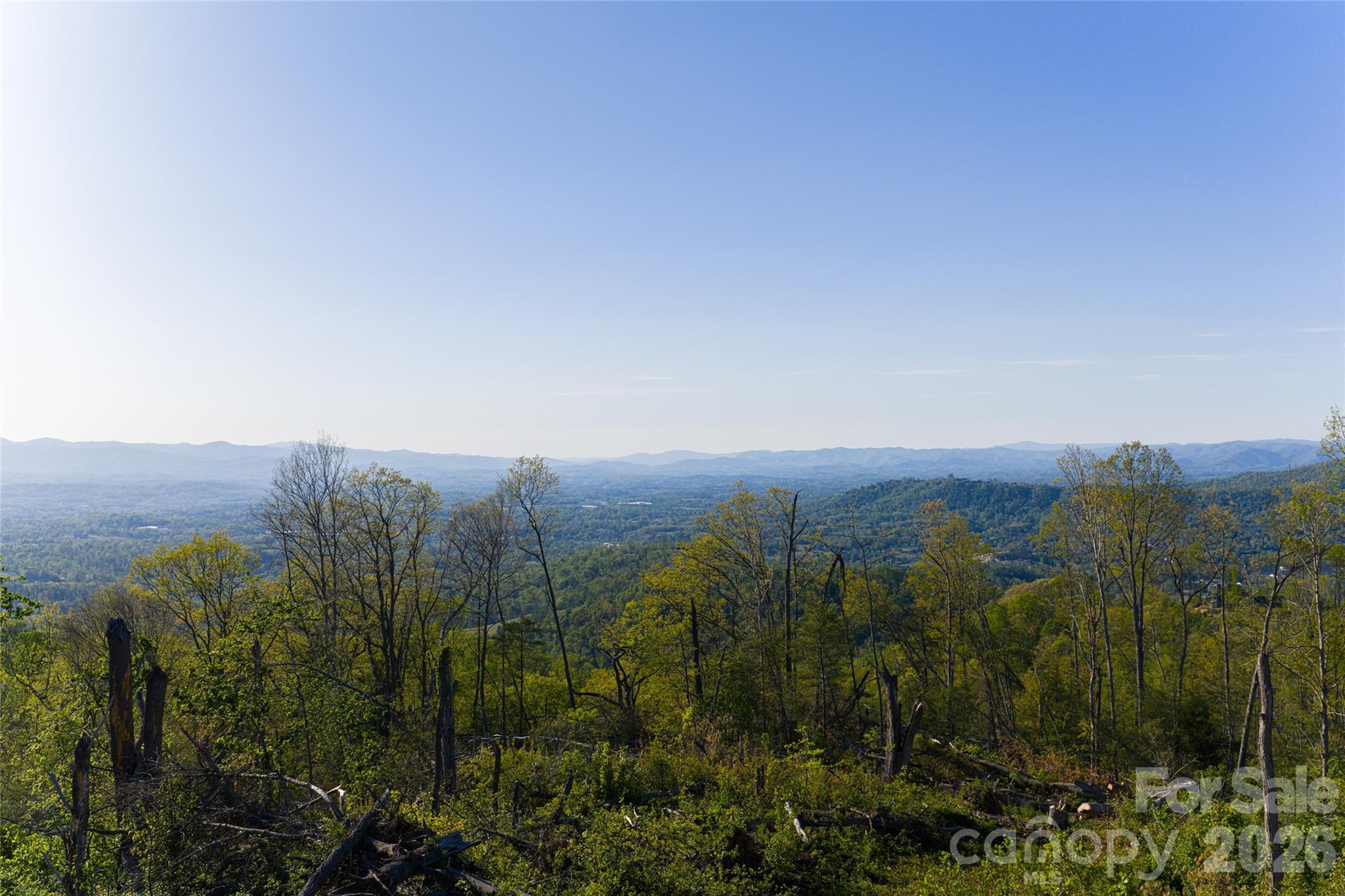 Acreage at 99999 Elk Mountain Scenic Highway, Asheville, photo 30 of 48