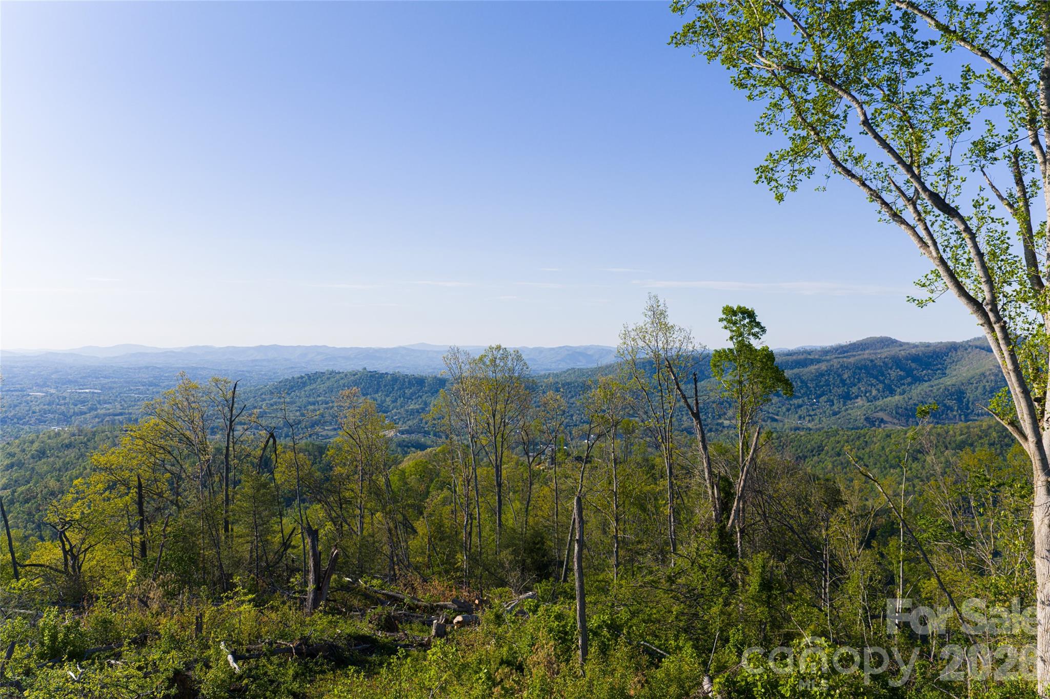 Acreage at 99999 Elk Mountain Scenic Highway, Asheville, photo 31 of 48