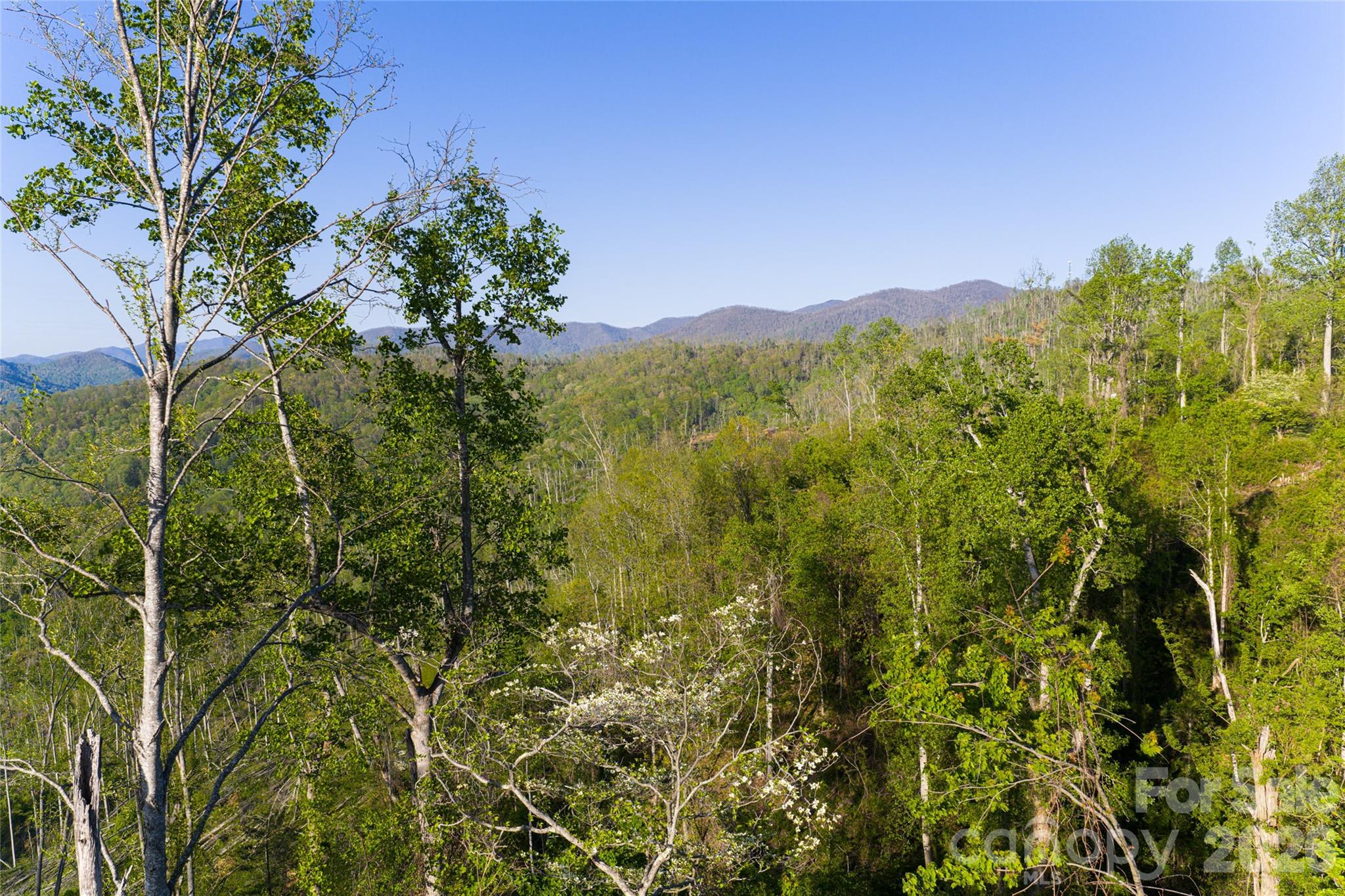 Acreage at 99999 Elk Mountain Scenic Highway, Asheville, photo 34 of 48