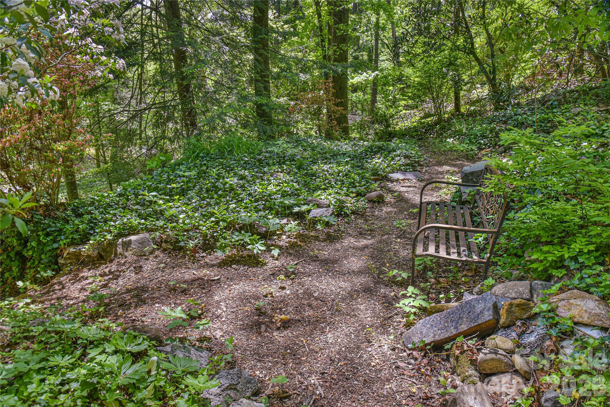 Walking trails - 1 Hillcrest Lane, Black Mountain