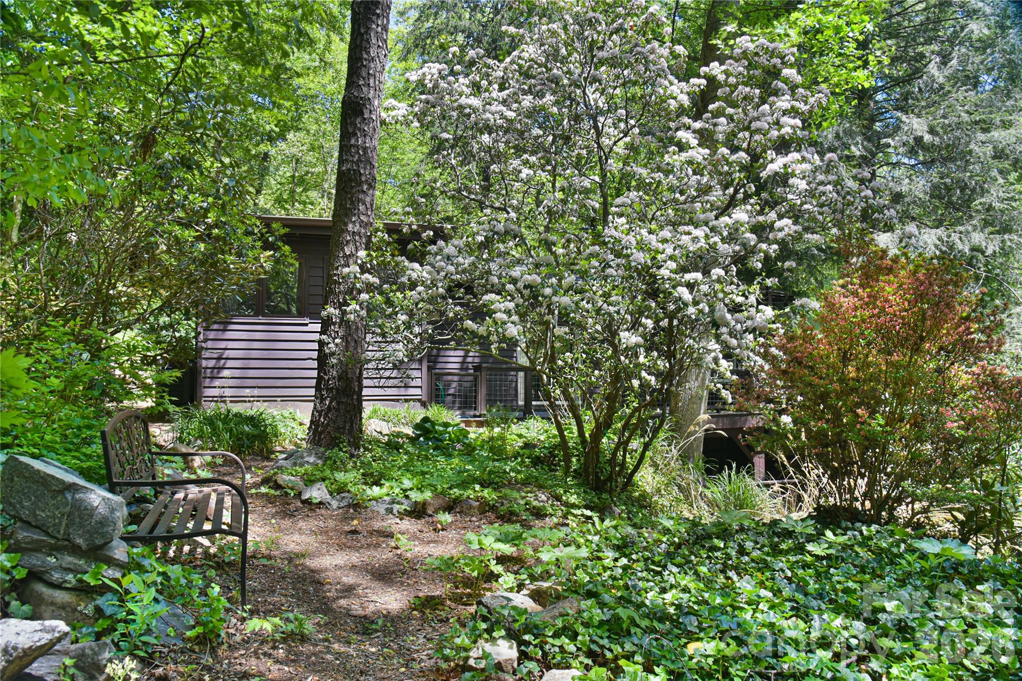 Back view of the home. Savor the privacy. - 1 Hillcrest Lane, Black Mountain