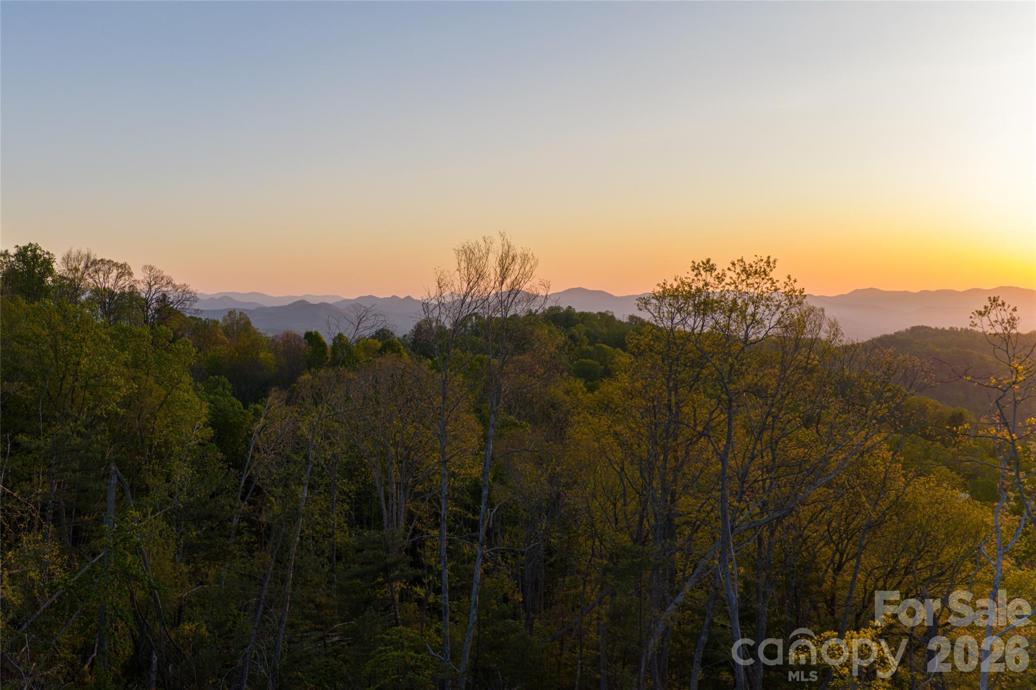 Acreage at 99999 Elk Mountain Scenic Highway, Asheville, photo 16 of 38