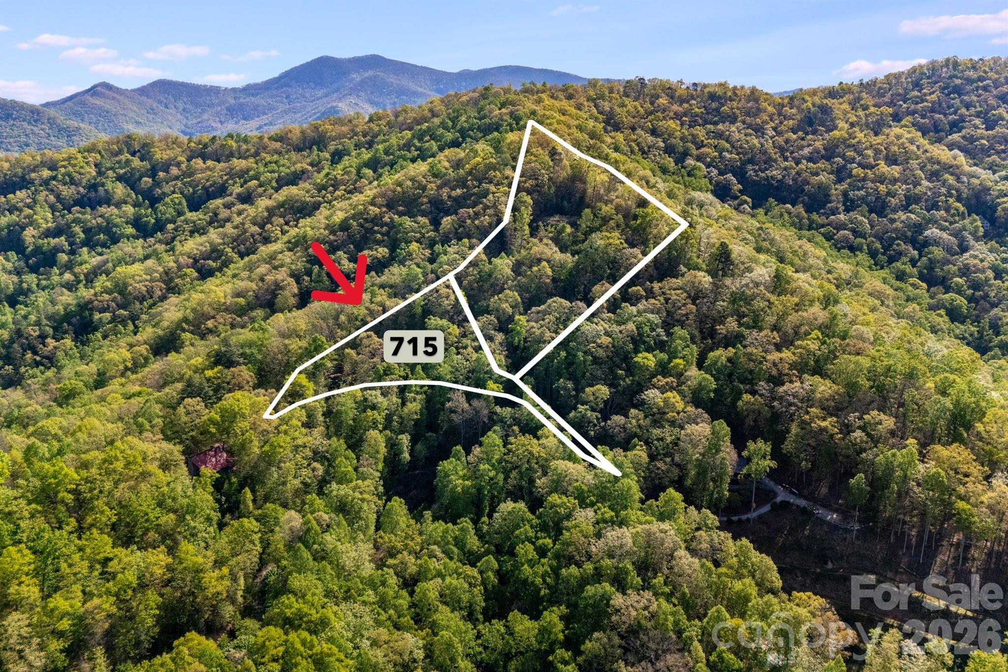 Lot at 785 Laurel Spring Drive, Bryson City, photo 2 of 13